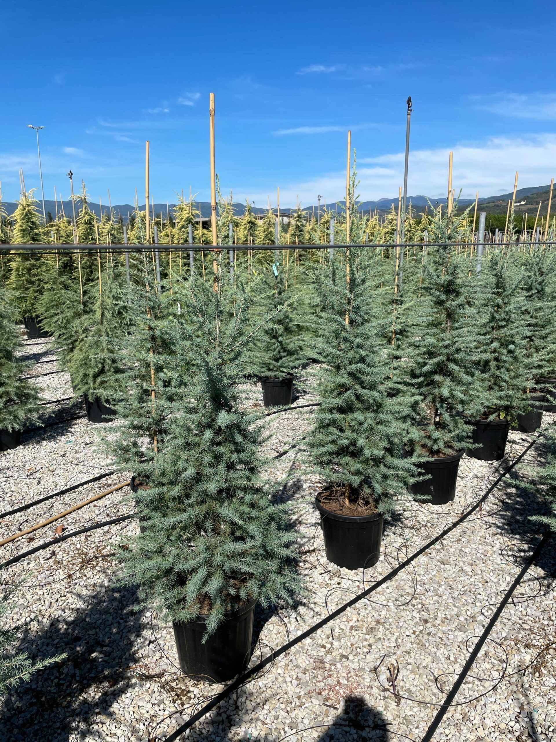 1632303610 scaled a0dc0a31