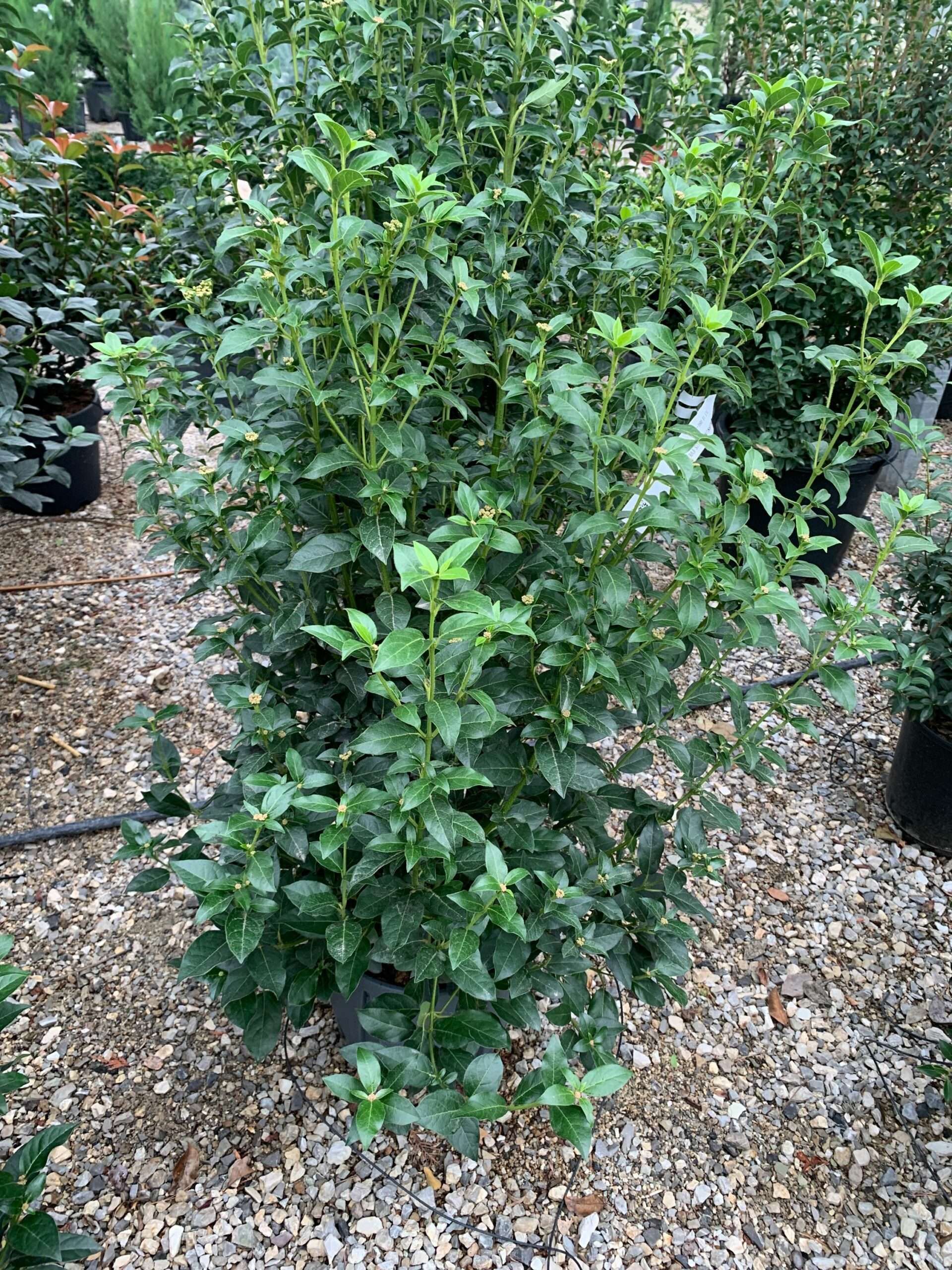 1633335027 scaled a06f386c