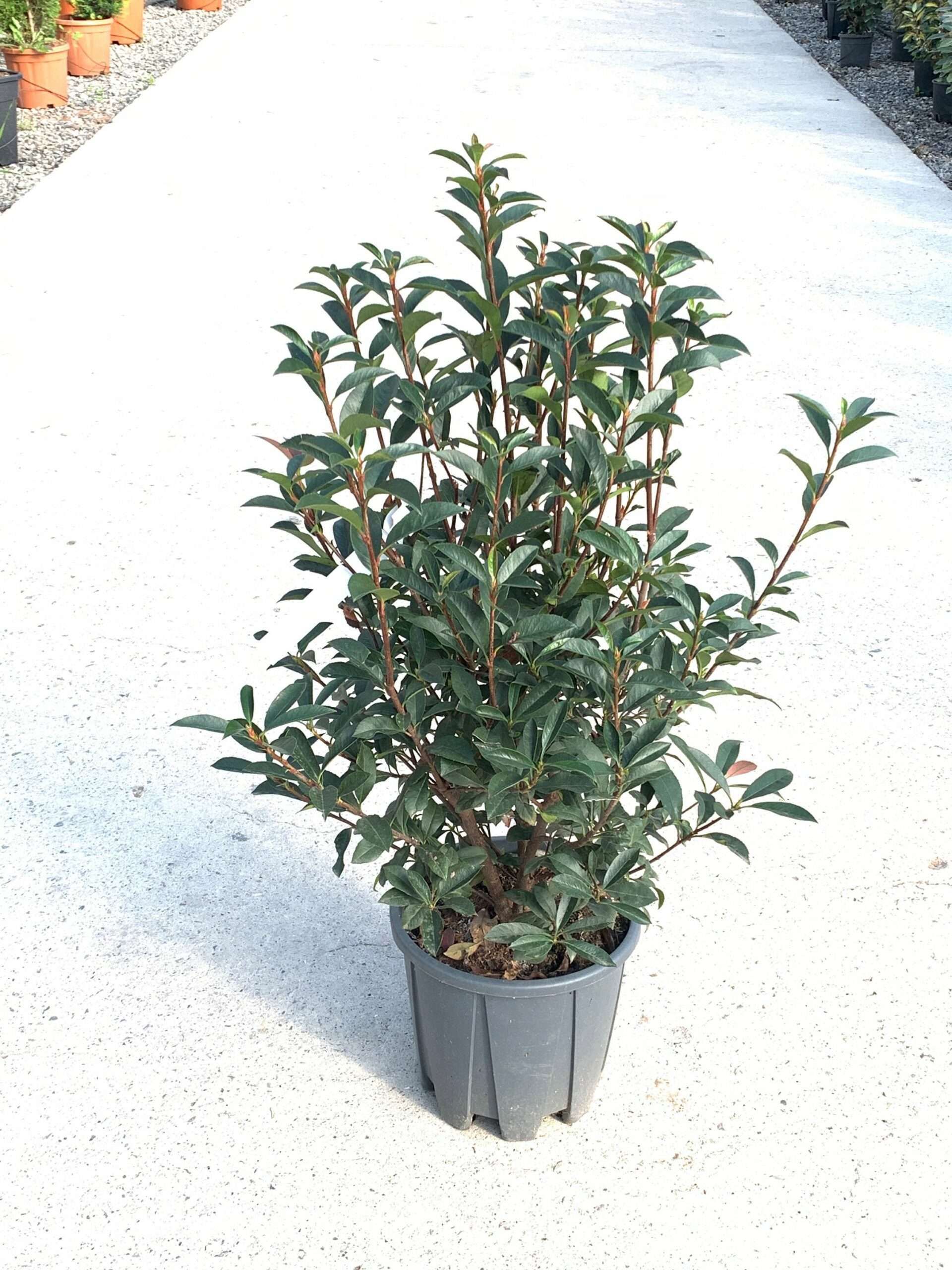 1635410140 scaled a03c863a