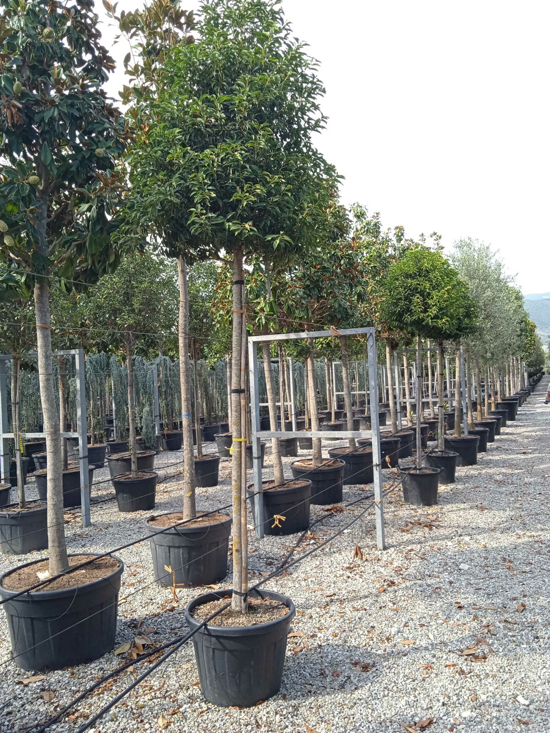 1661868852 scaled a0425e65