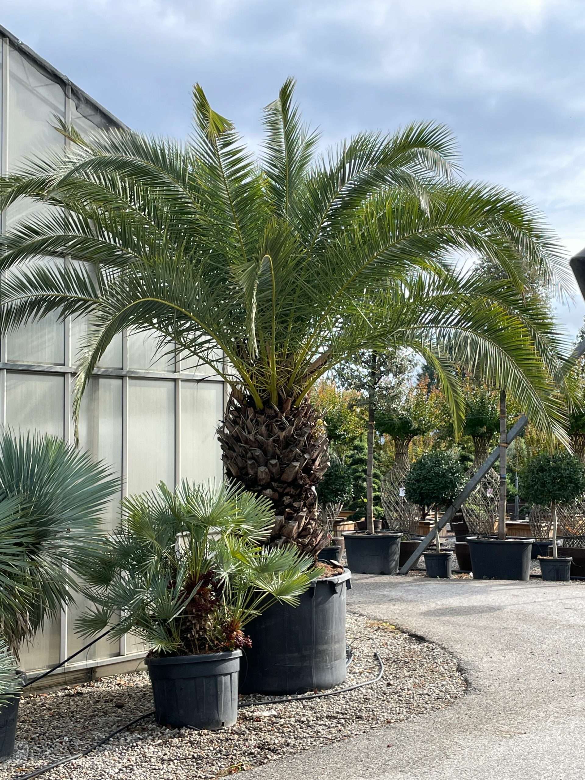 1664092462 scaled a09b9bfb