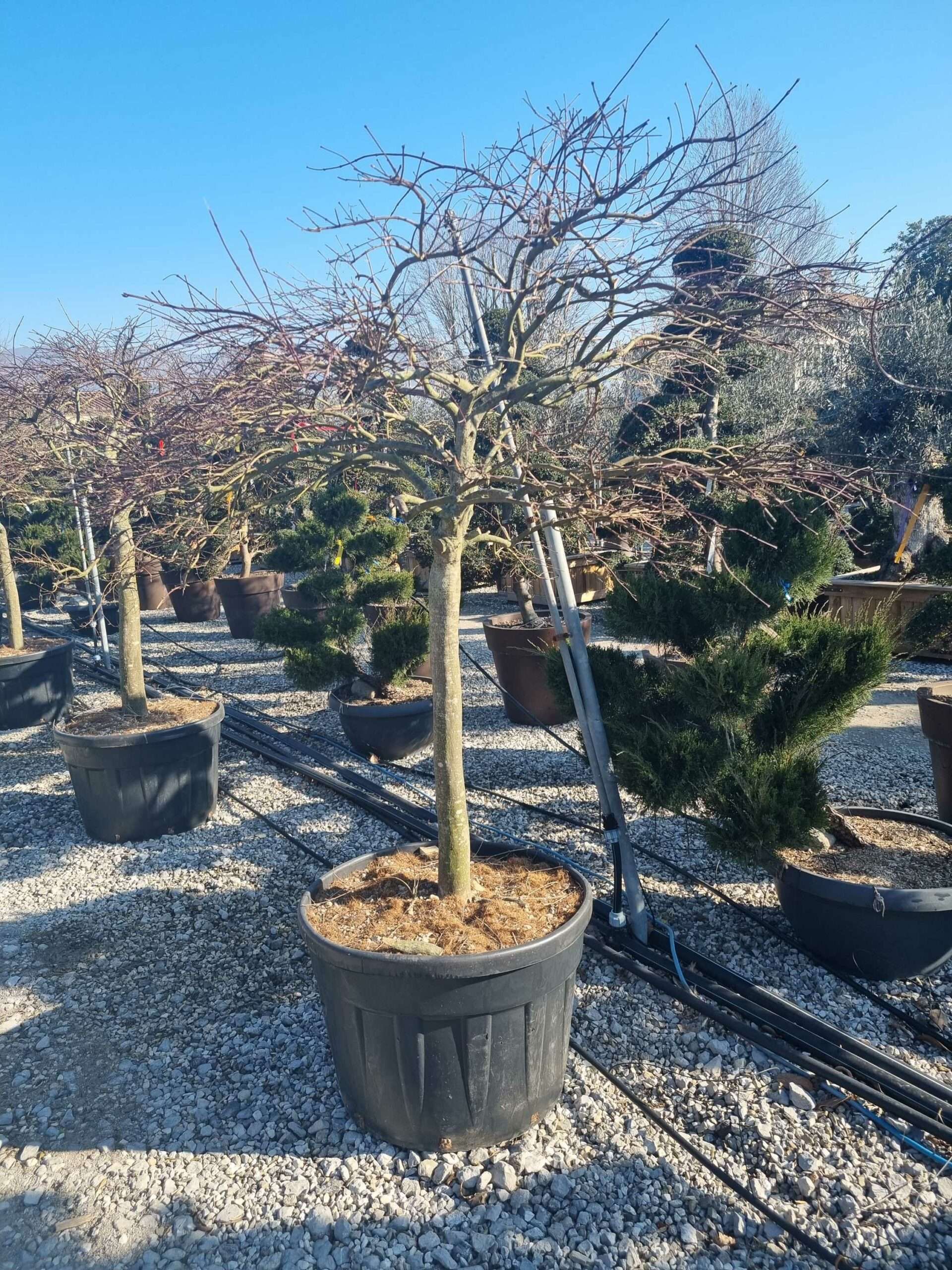 1676366407 scaled a0c67080