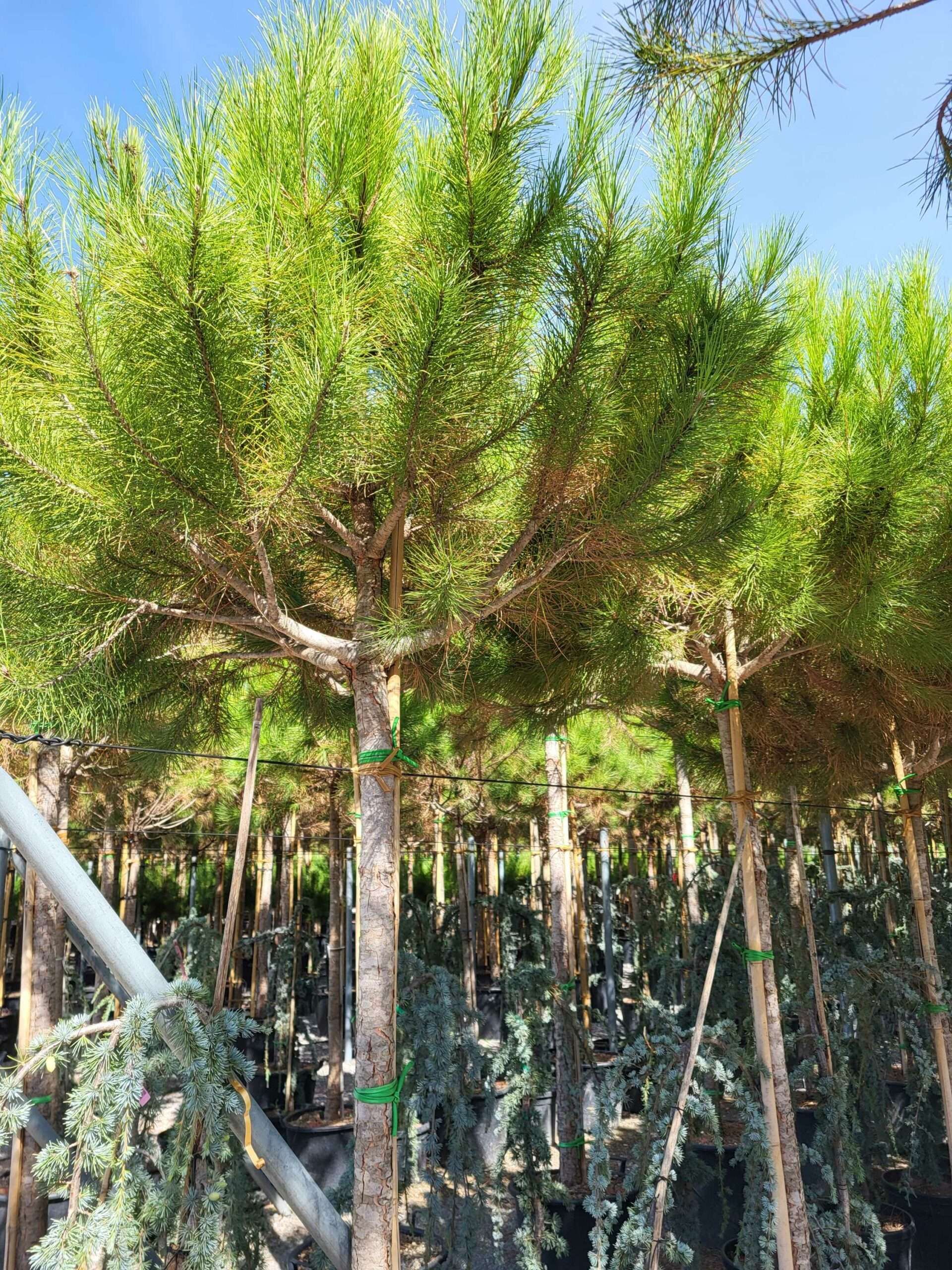 1691570830 scaled a0acd60a