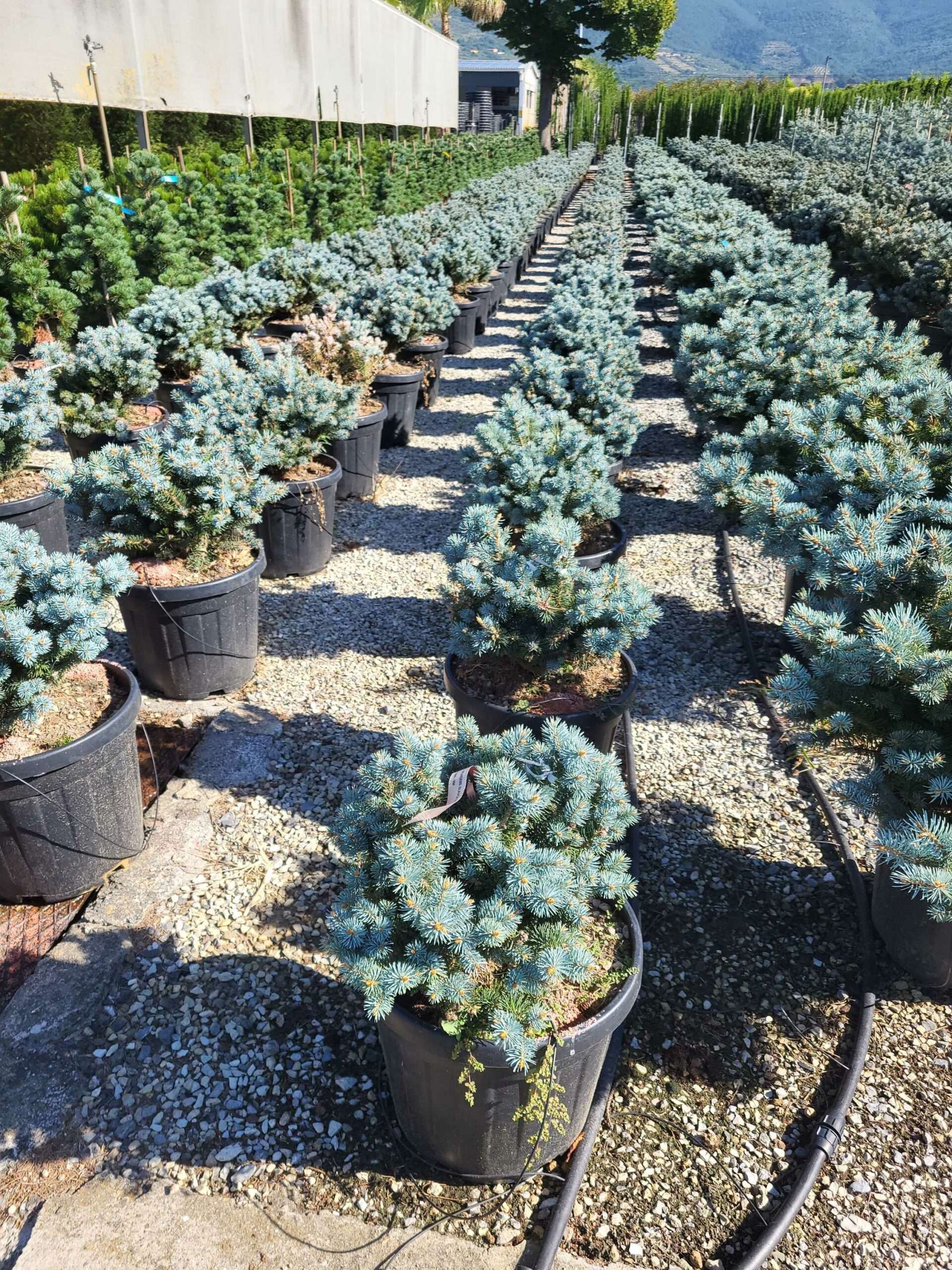 1691653260 scaled a0e0be22