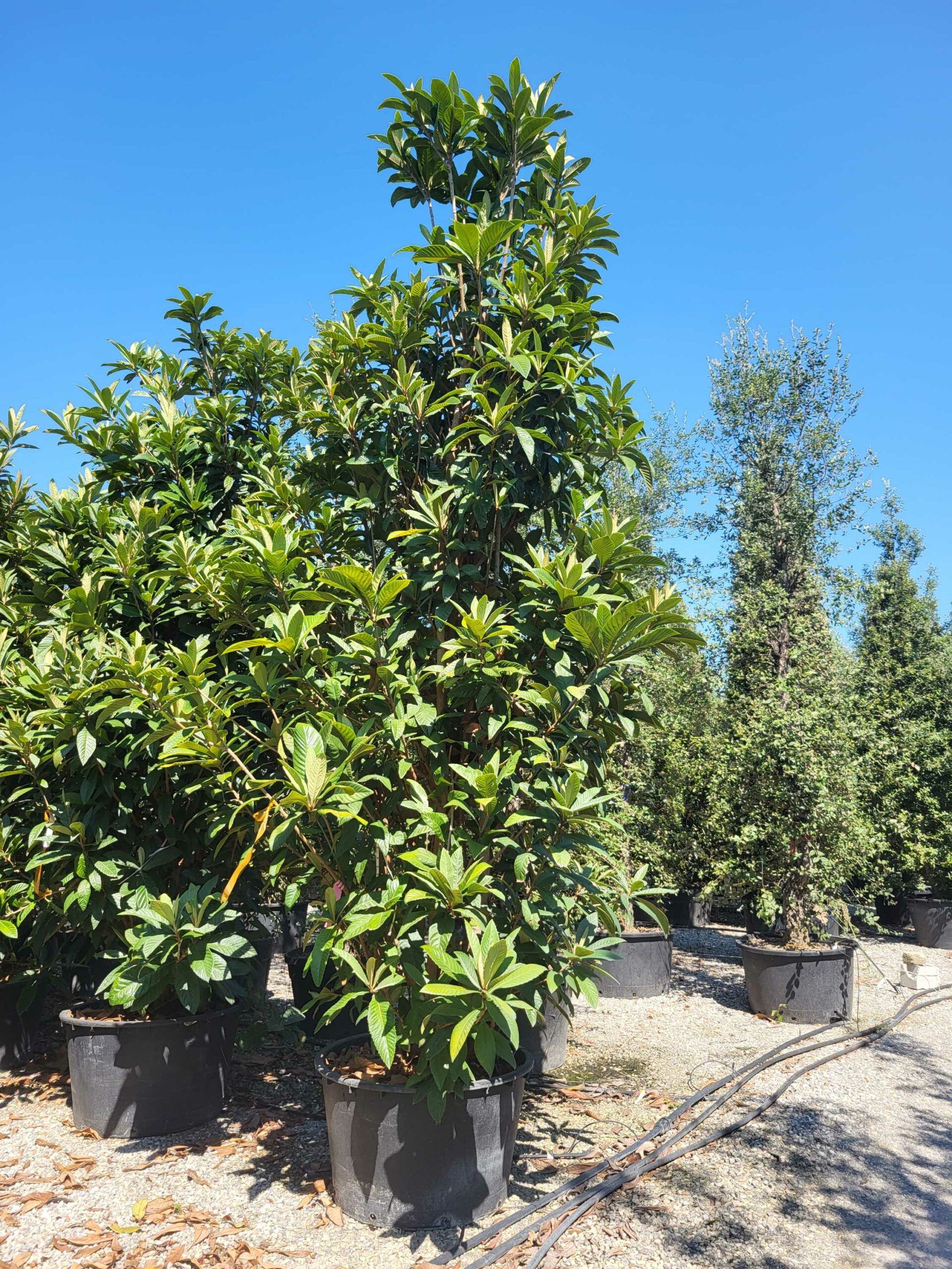 1692610634 scaled a05a69b7