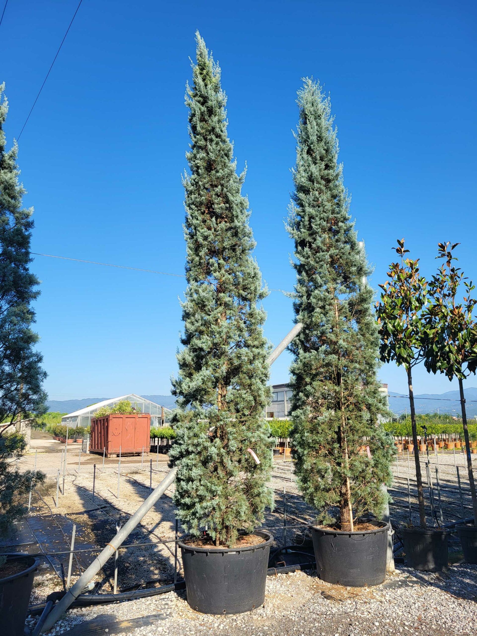 1692688047 scaled a0873c0c