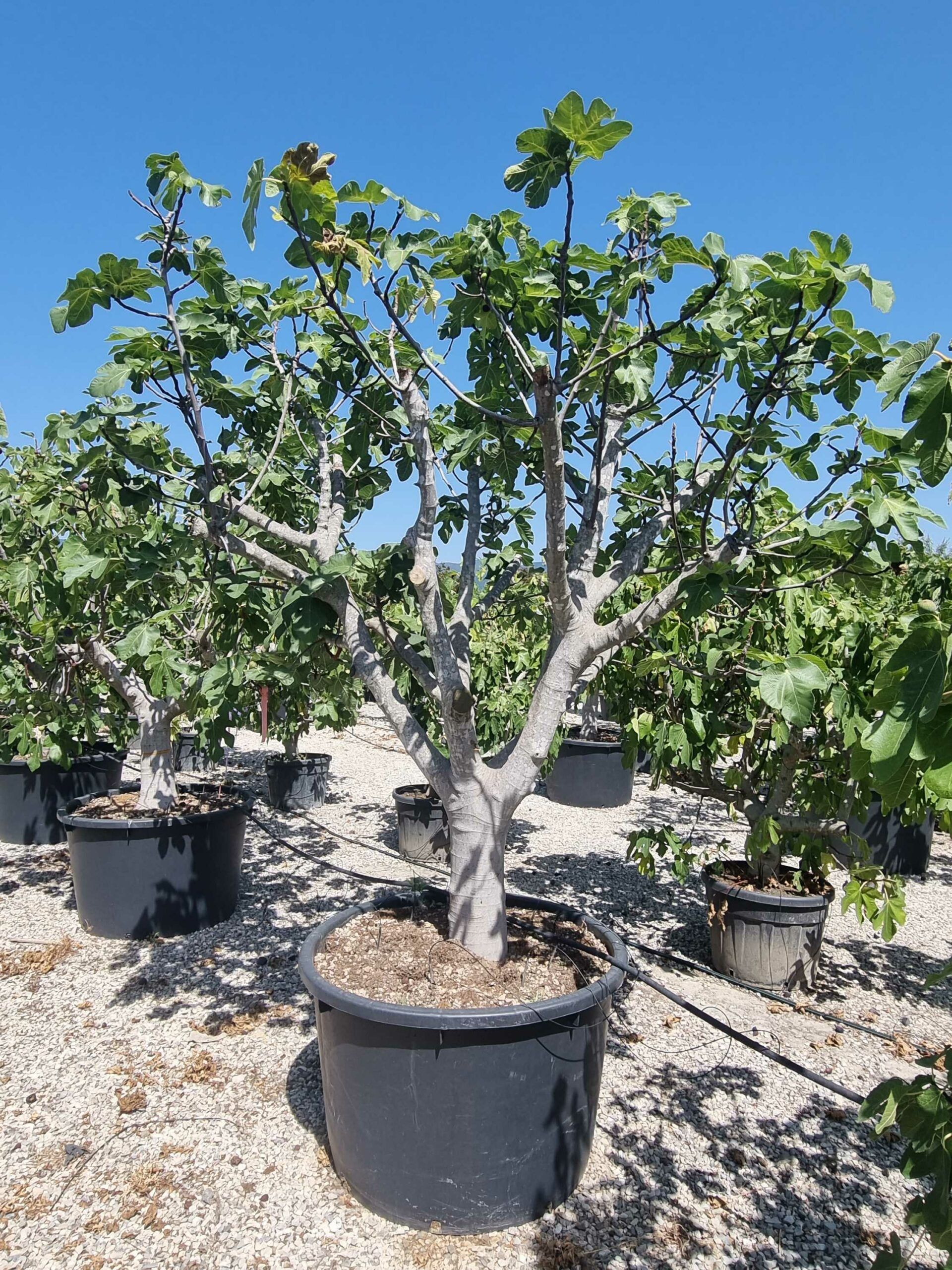 1692879327 scaled a0c4ff95