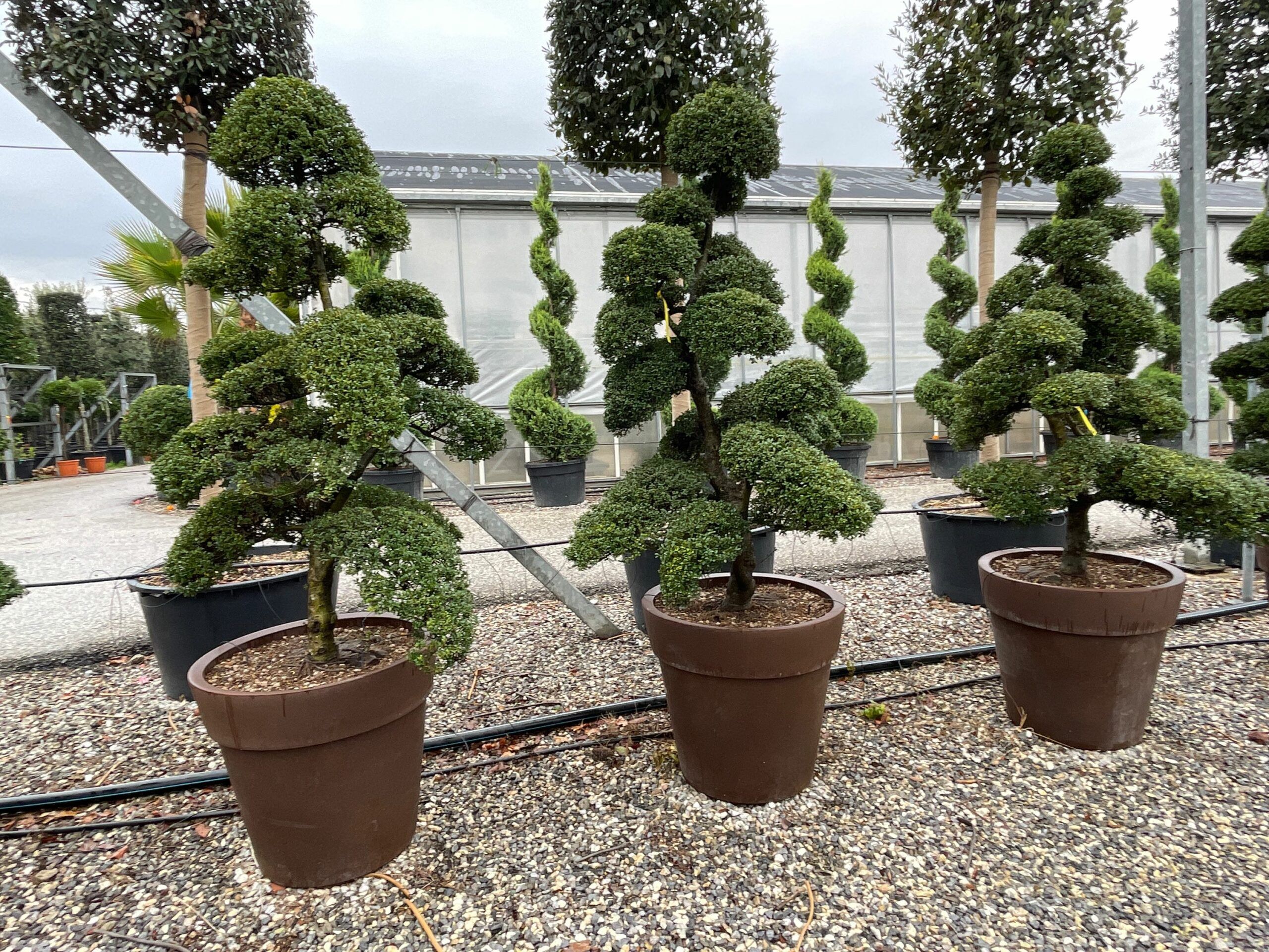 1637847674 scaled a1af7ddb