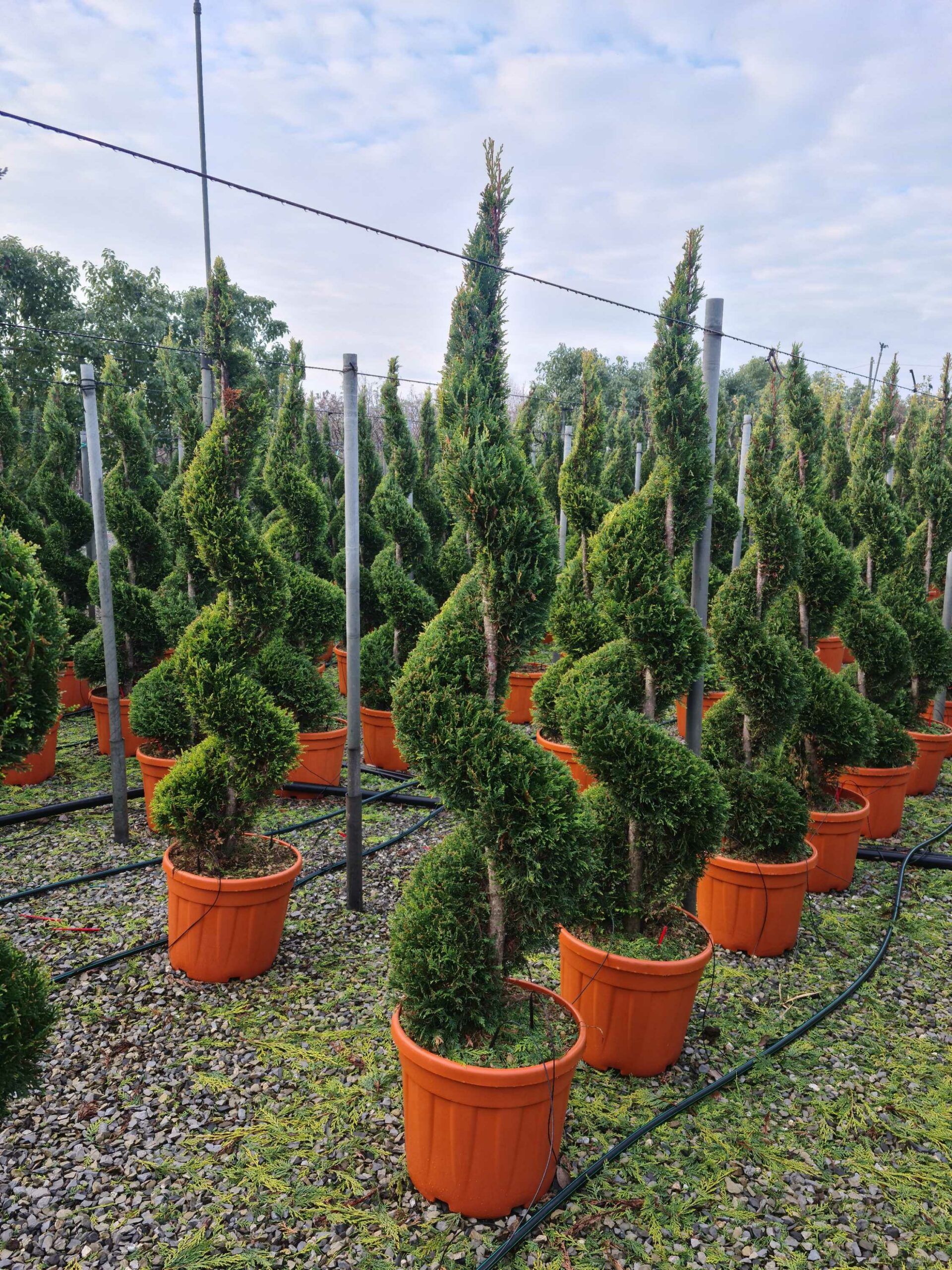 1640162955 scaled a1364623