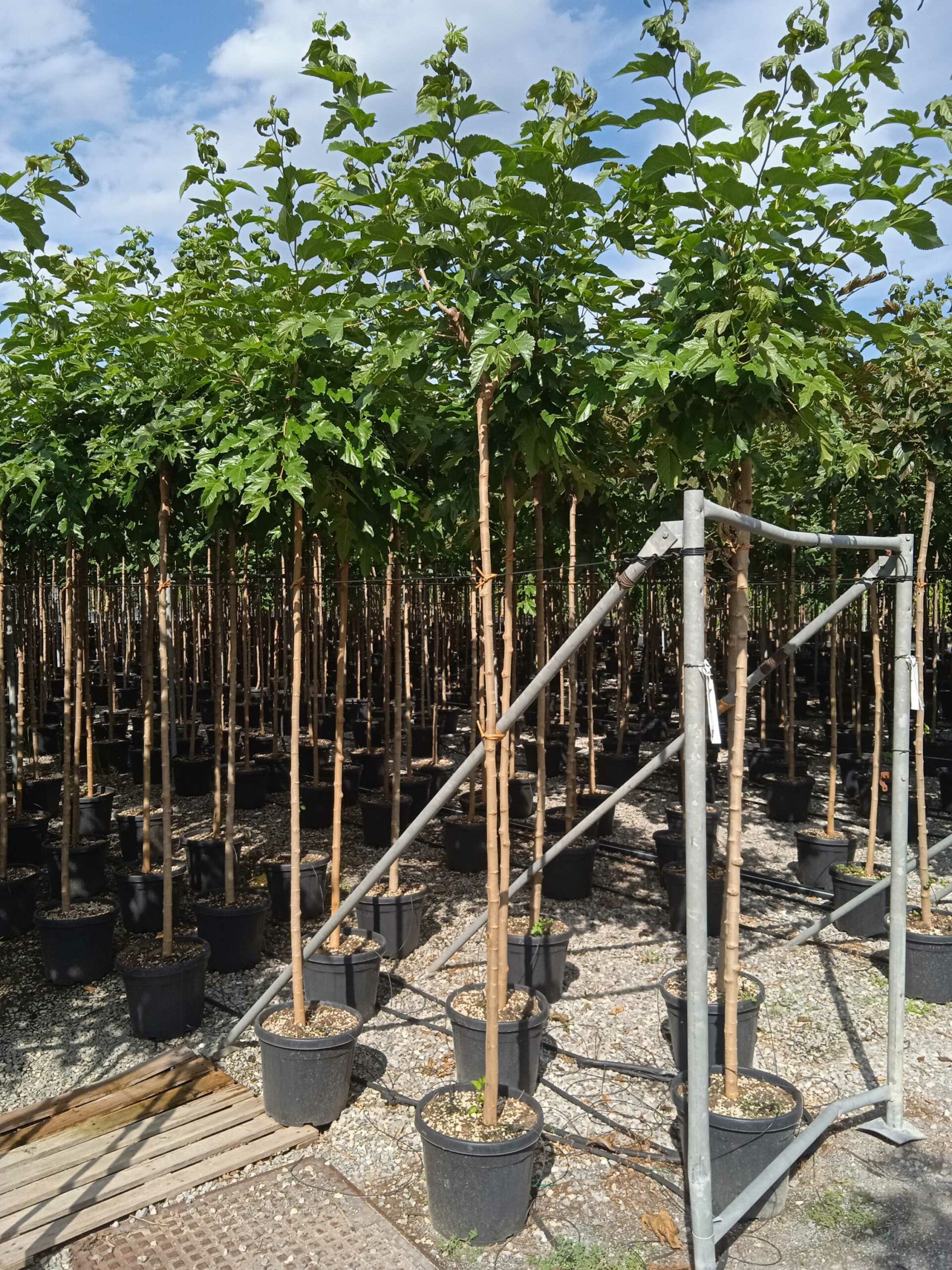 1662039909 scaled a10ed987