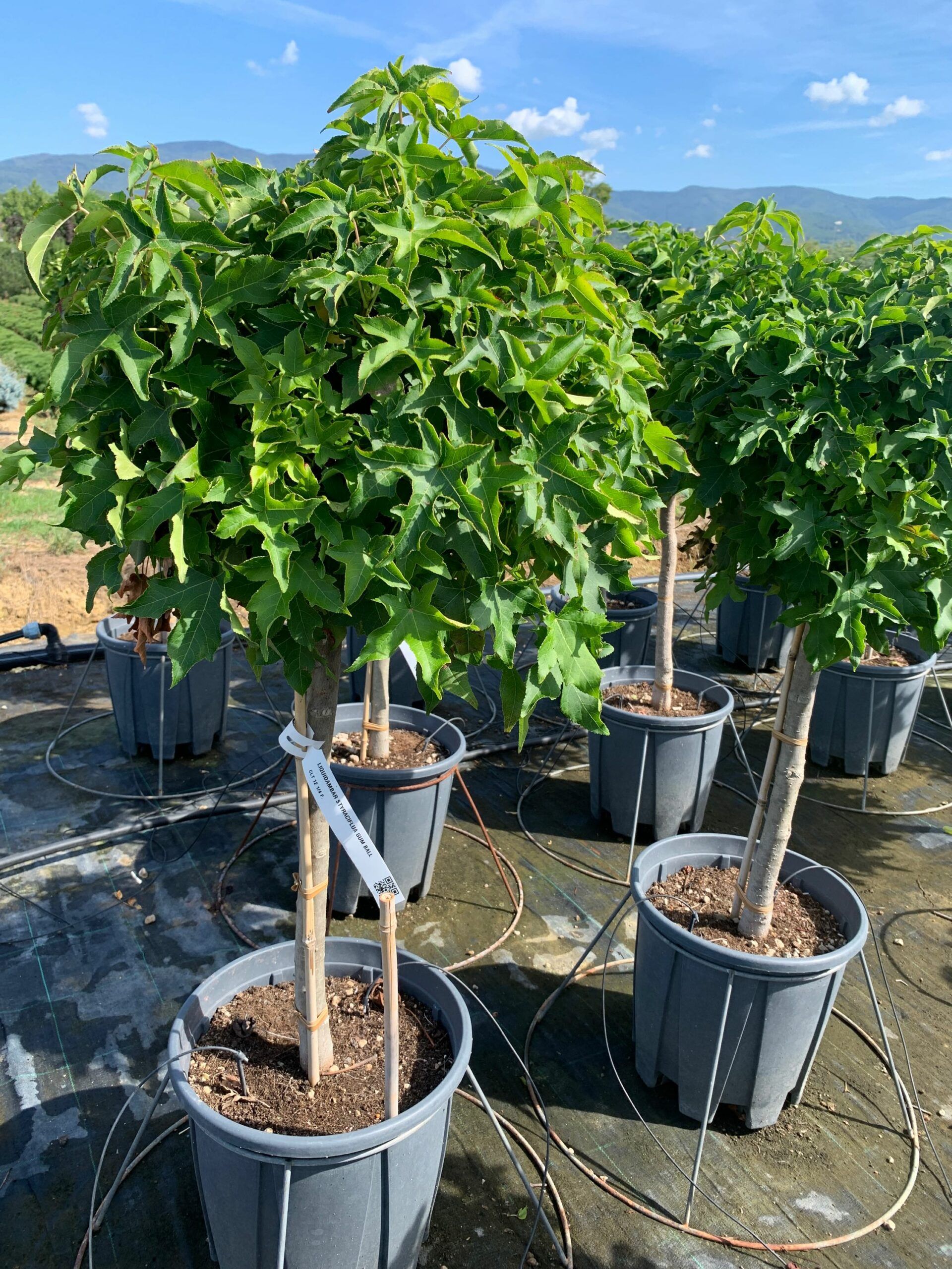 1662368841 scaled a16848fe