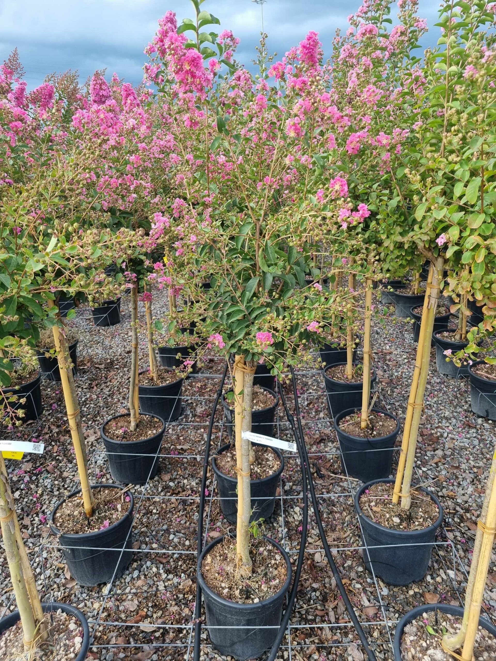 1663169652 scaled a1bb1db9