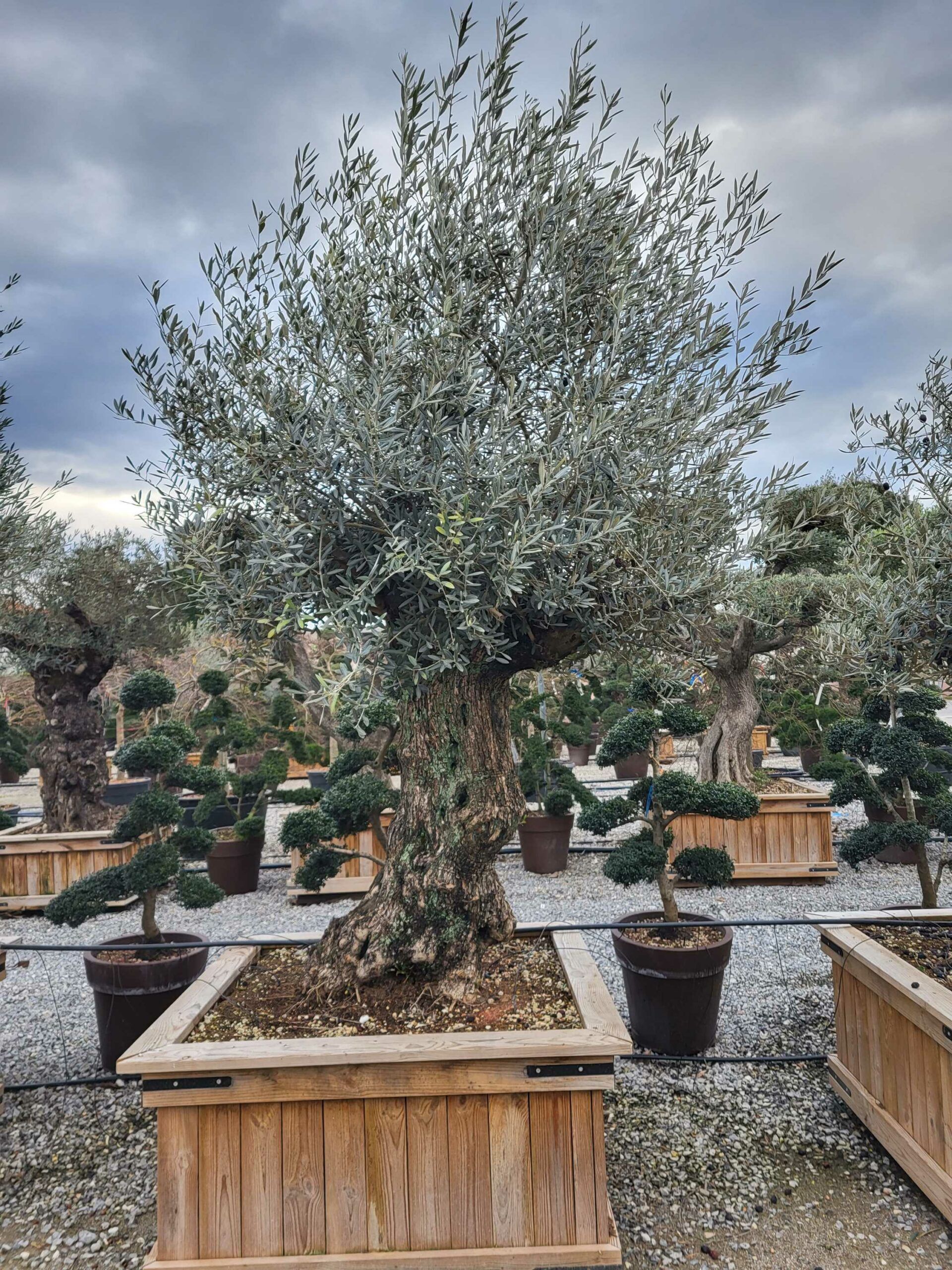 1677827594 scaled a1c6aa7e