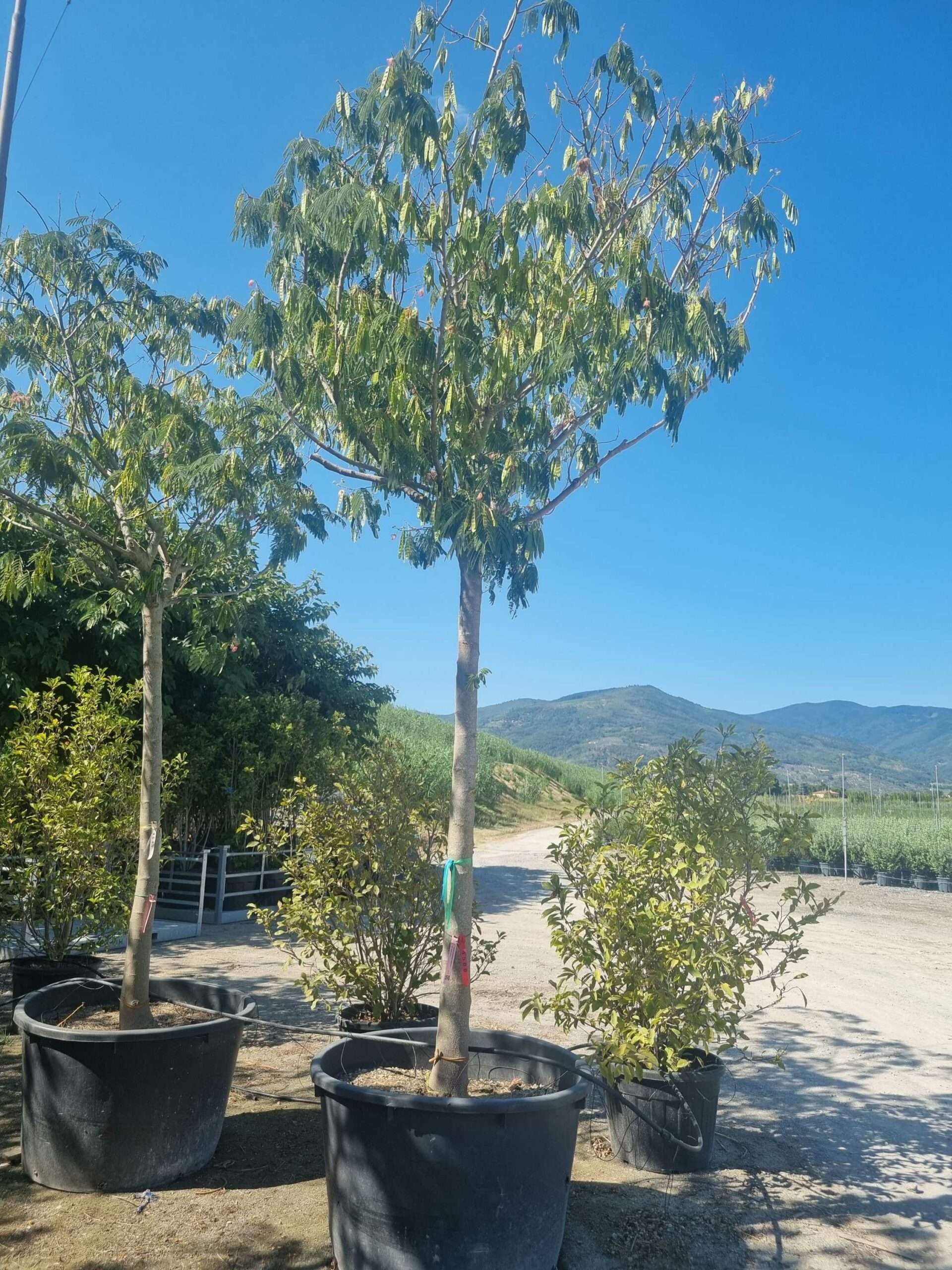 1692798333 scaled a1d708b4