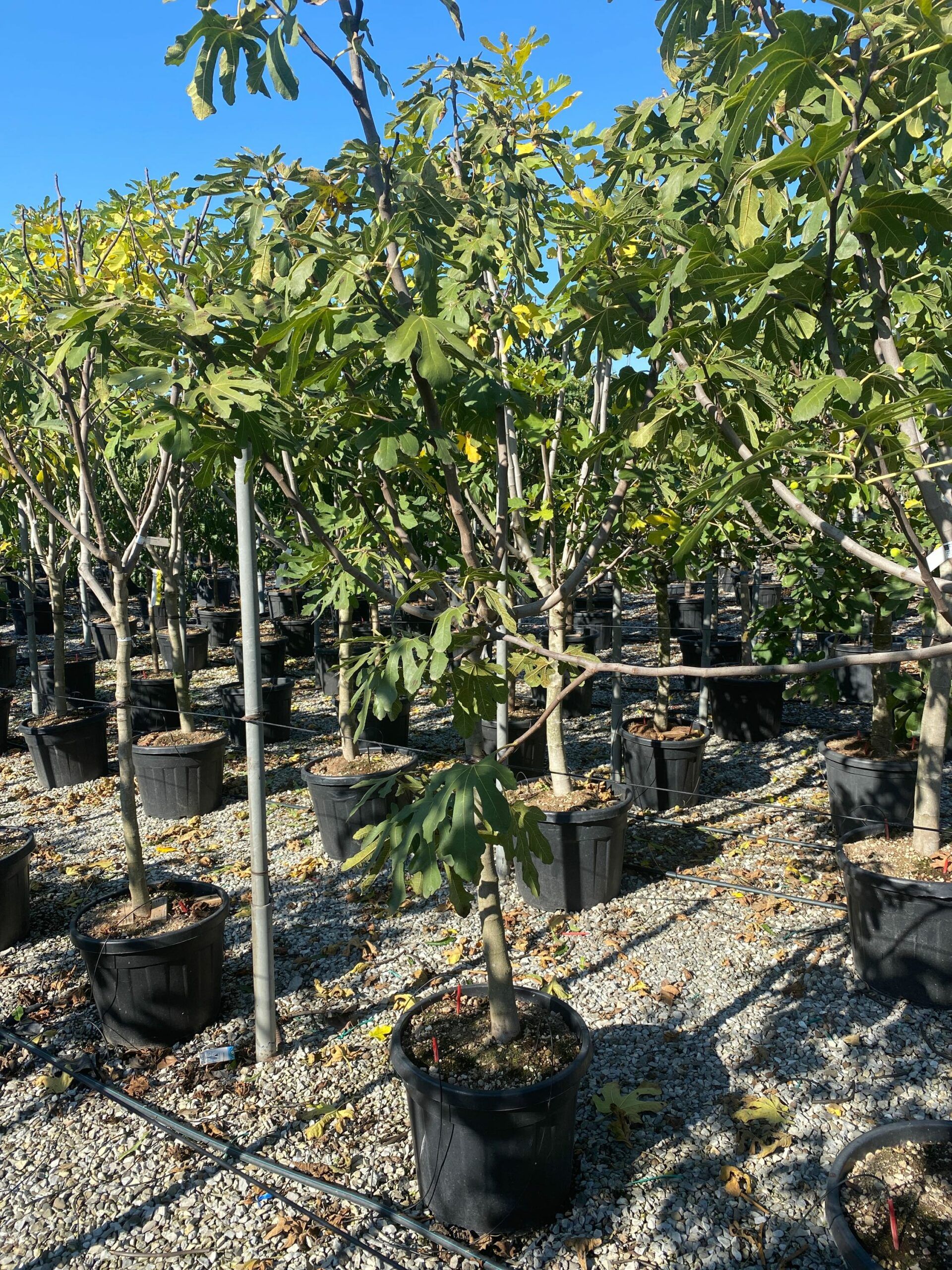 1635422531 scaled a26efaf1