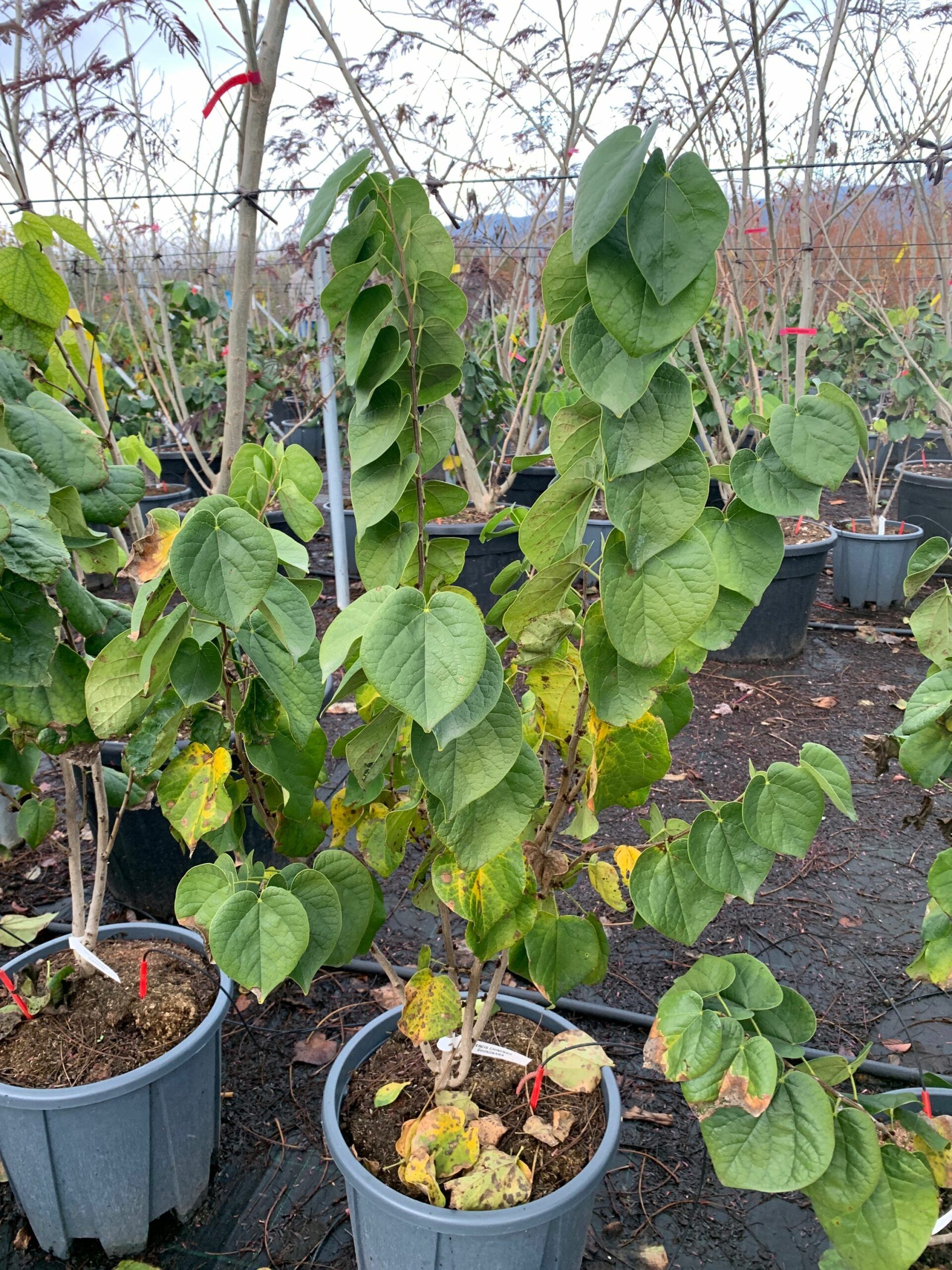 1636986838 scaled a210c4fa