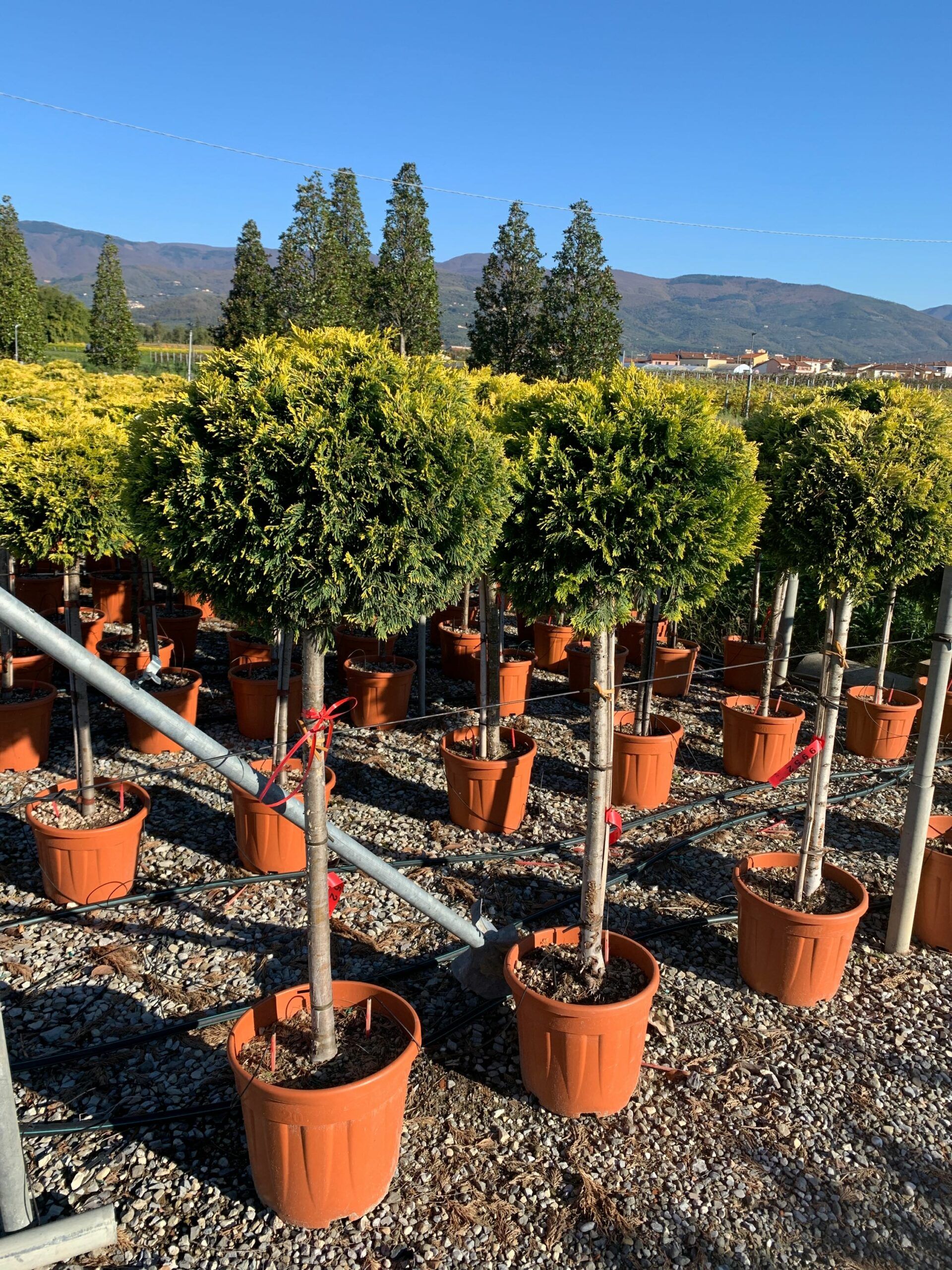 1637746391 scaled a25365fc