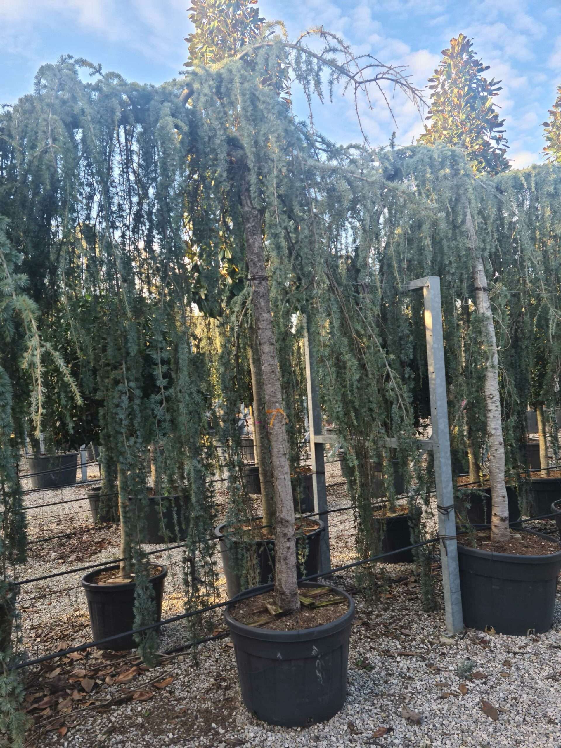 1639405710 scaled a2d44477