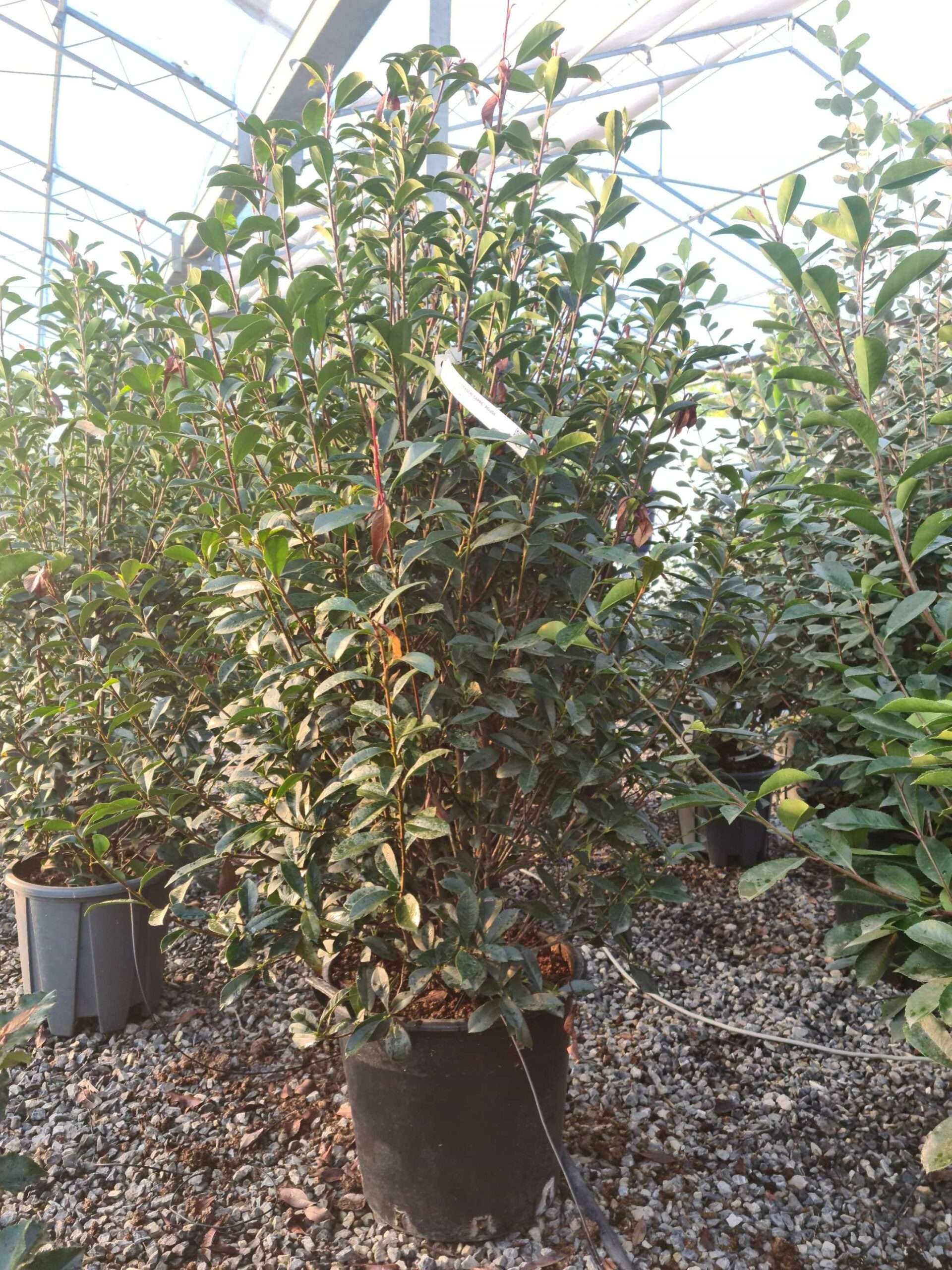 1639470251 scaled a2be7490