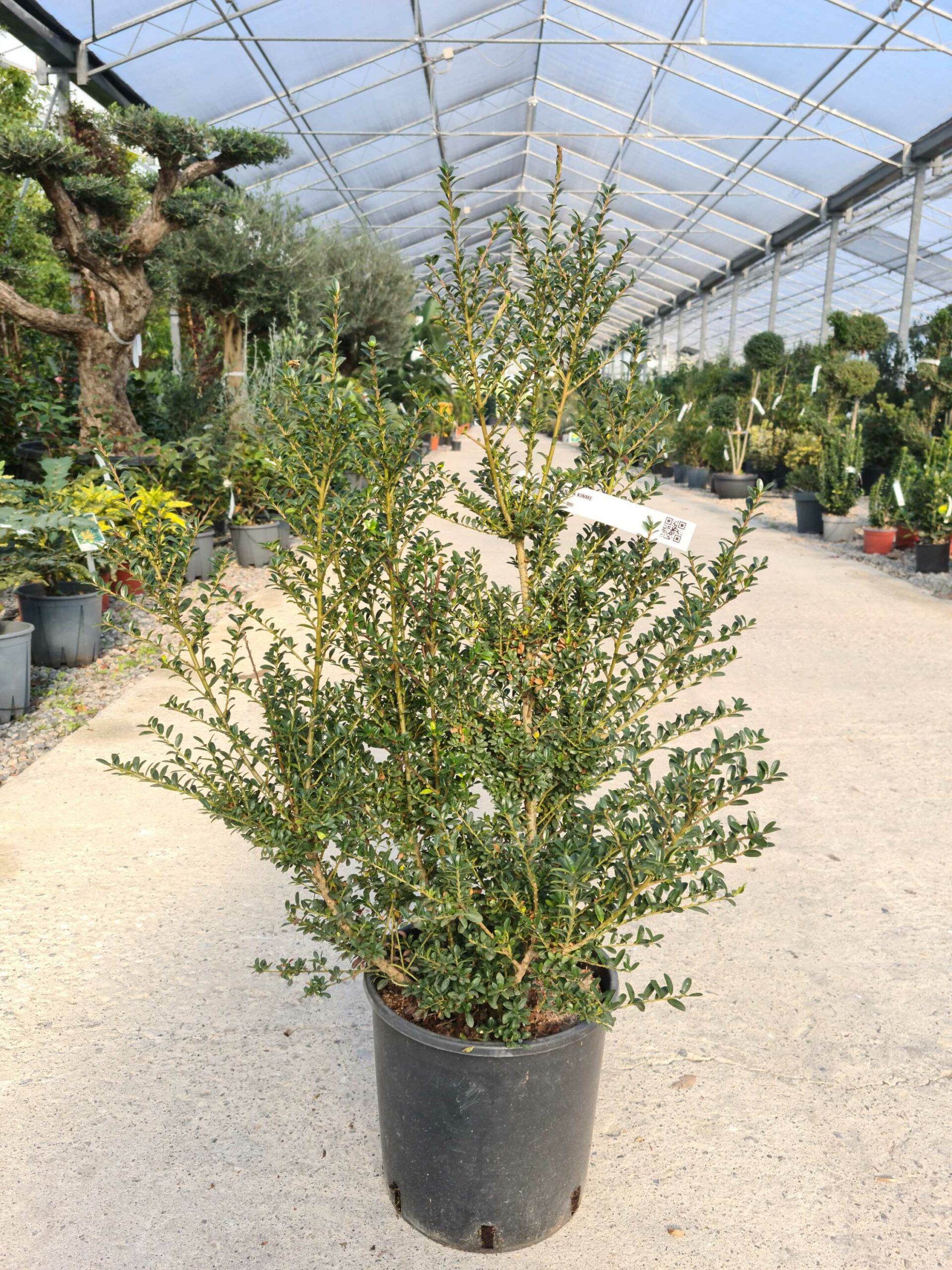 1639479991 scaled a26e3184