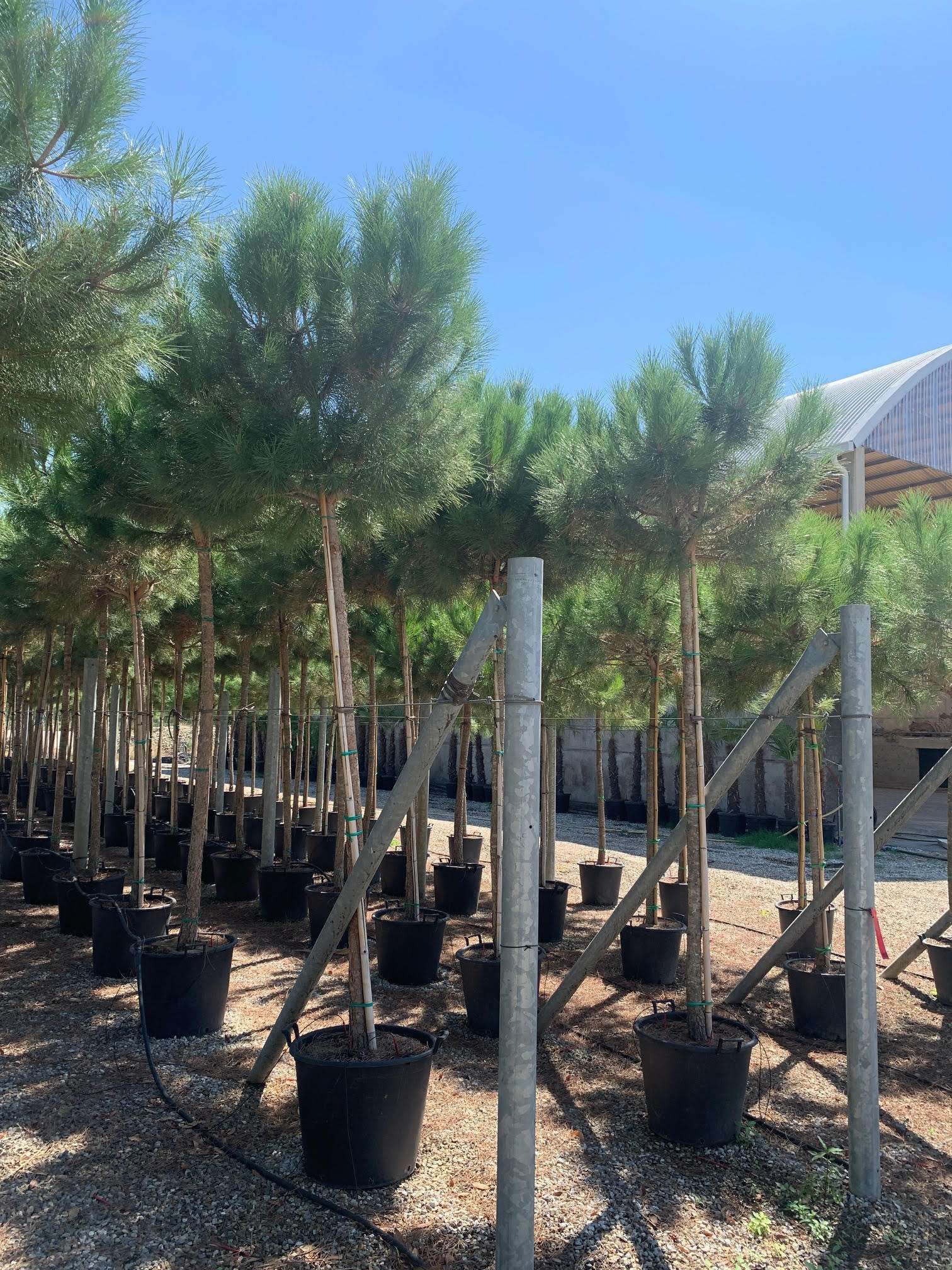 1647108692 dnf a2af8e91