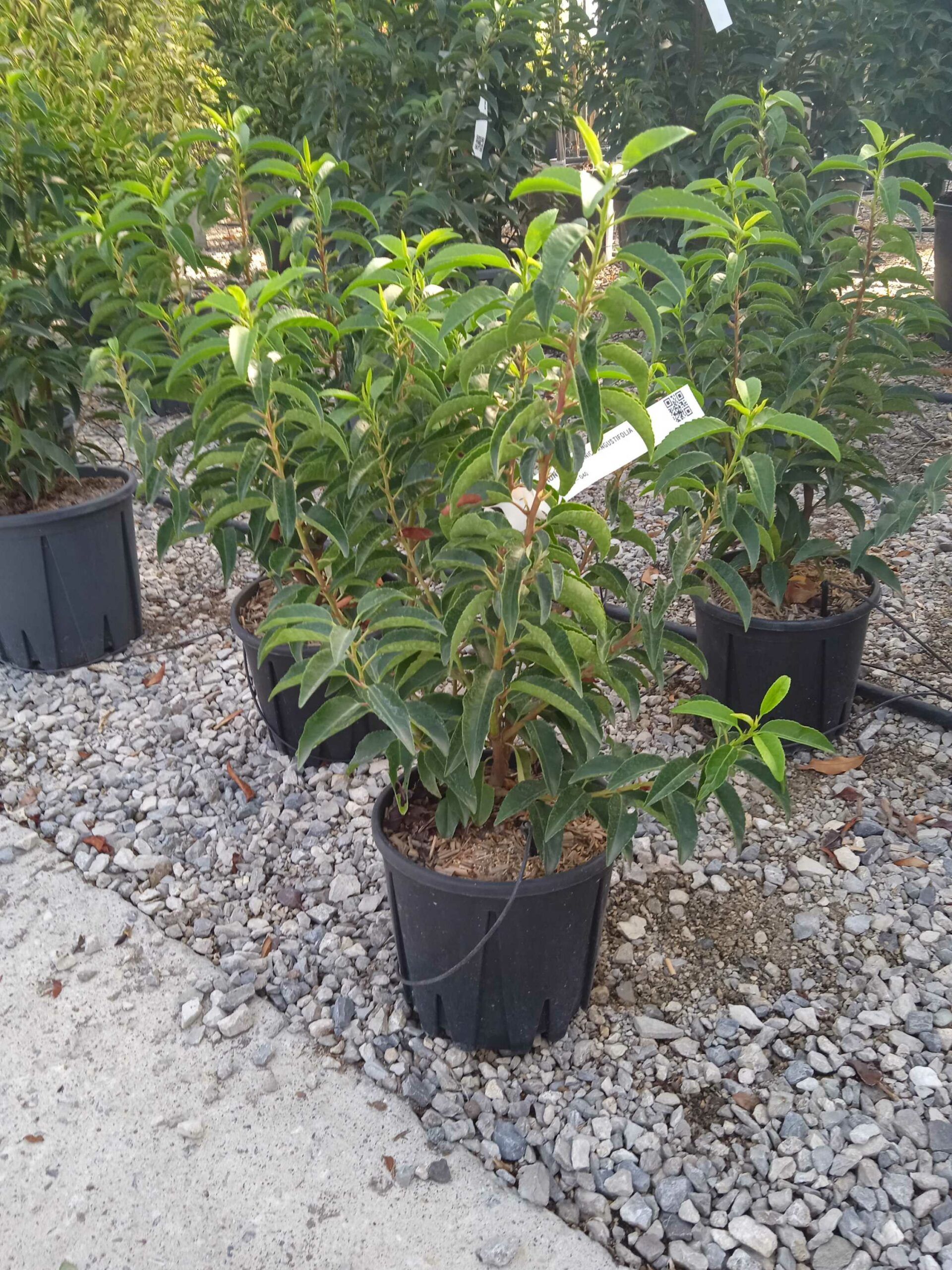 1662446211 scaled a2b46601