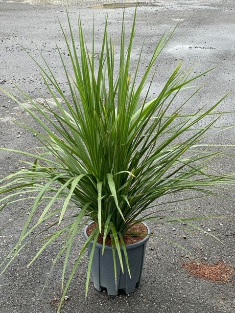 1683047868 IMG 7817 a232028d