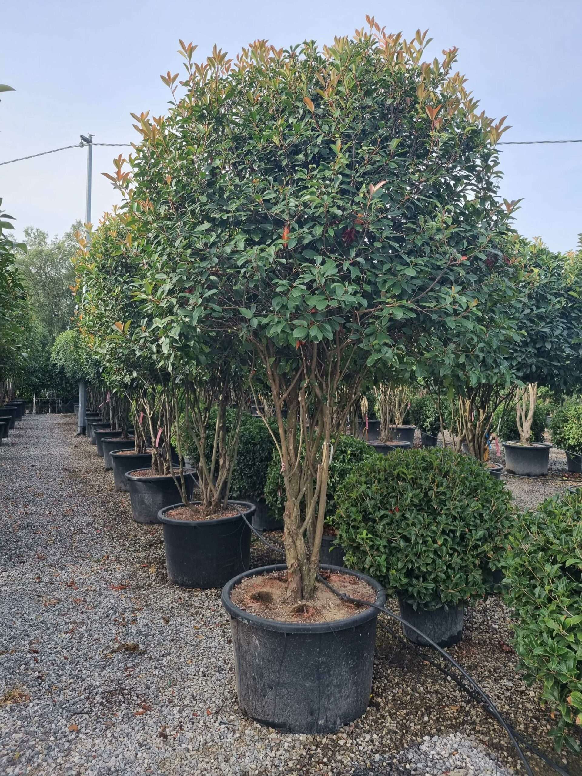 1695022112 scaled a2e11fd3