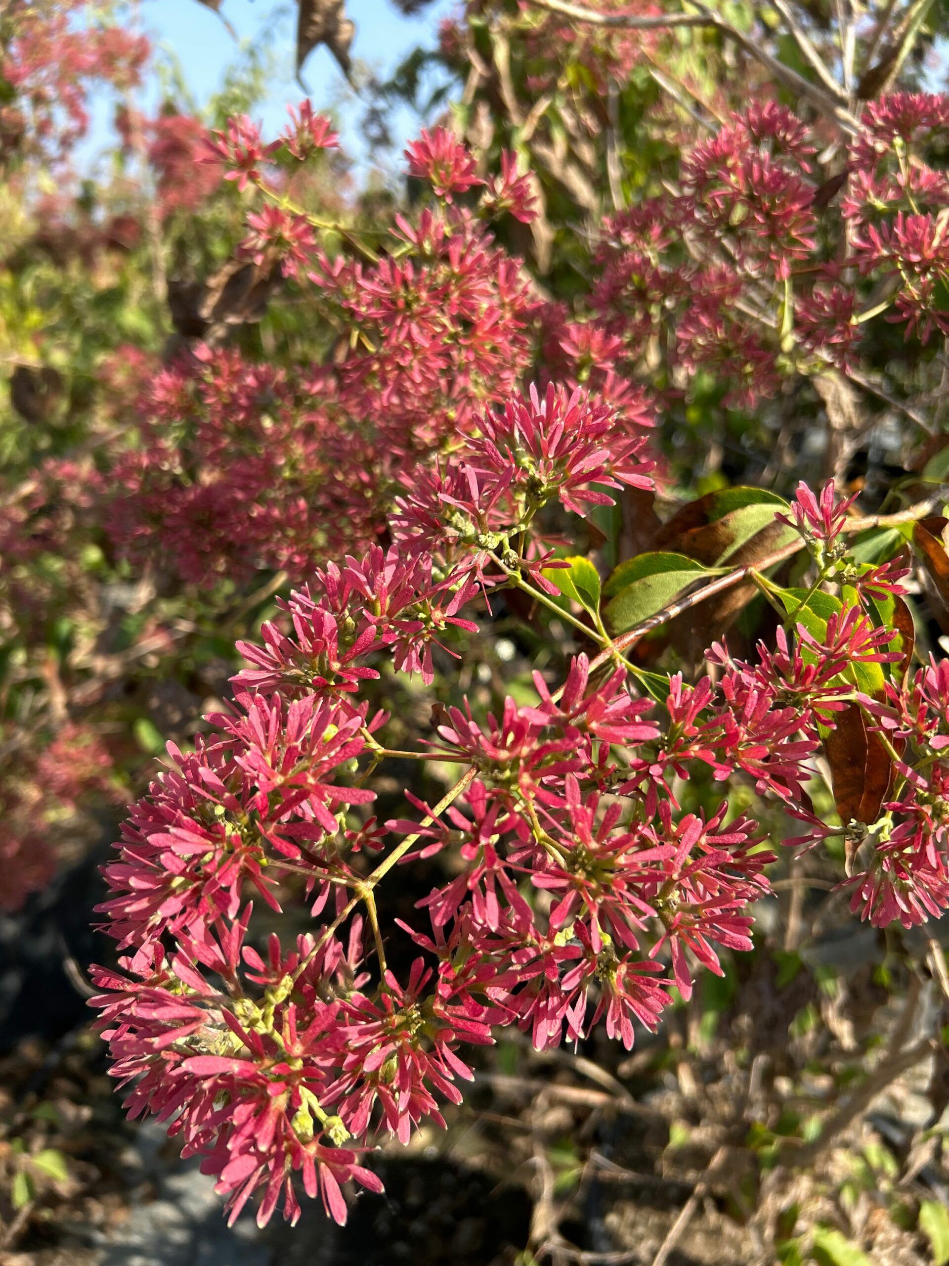 1696855203 scaled a241d5f3