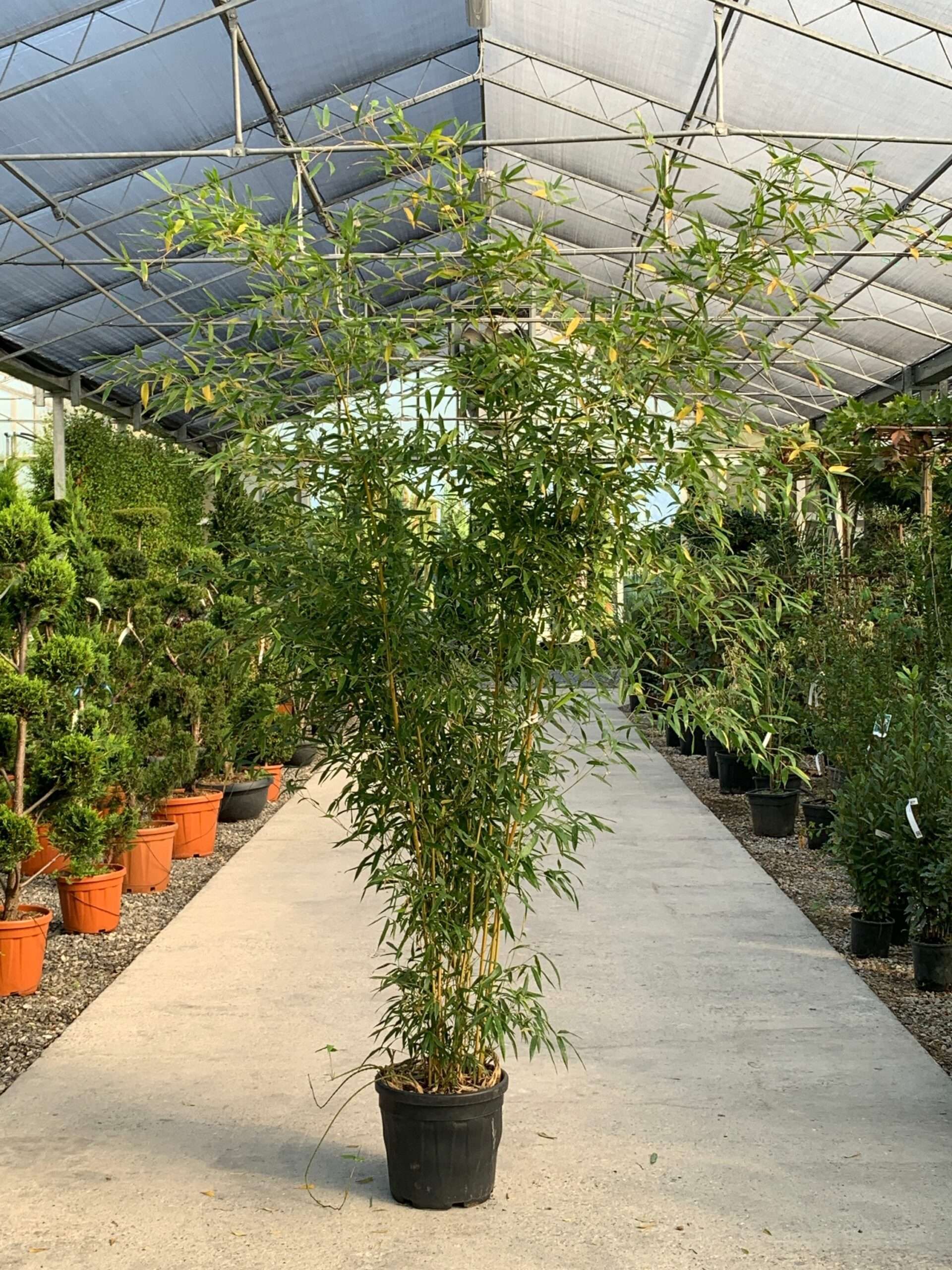 1634976609 scaled a3048b5d