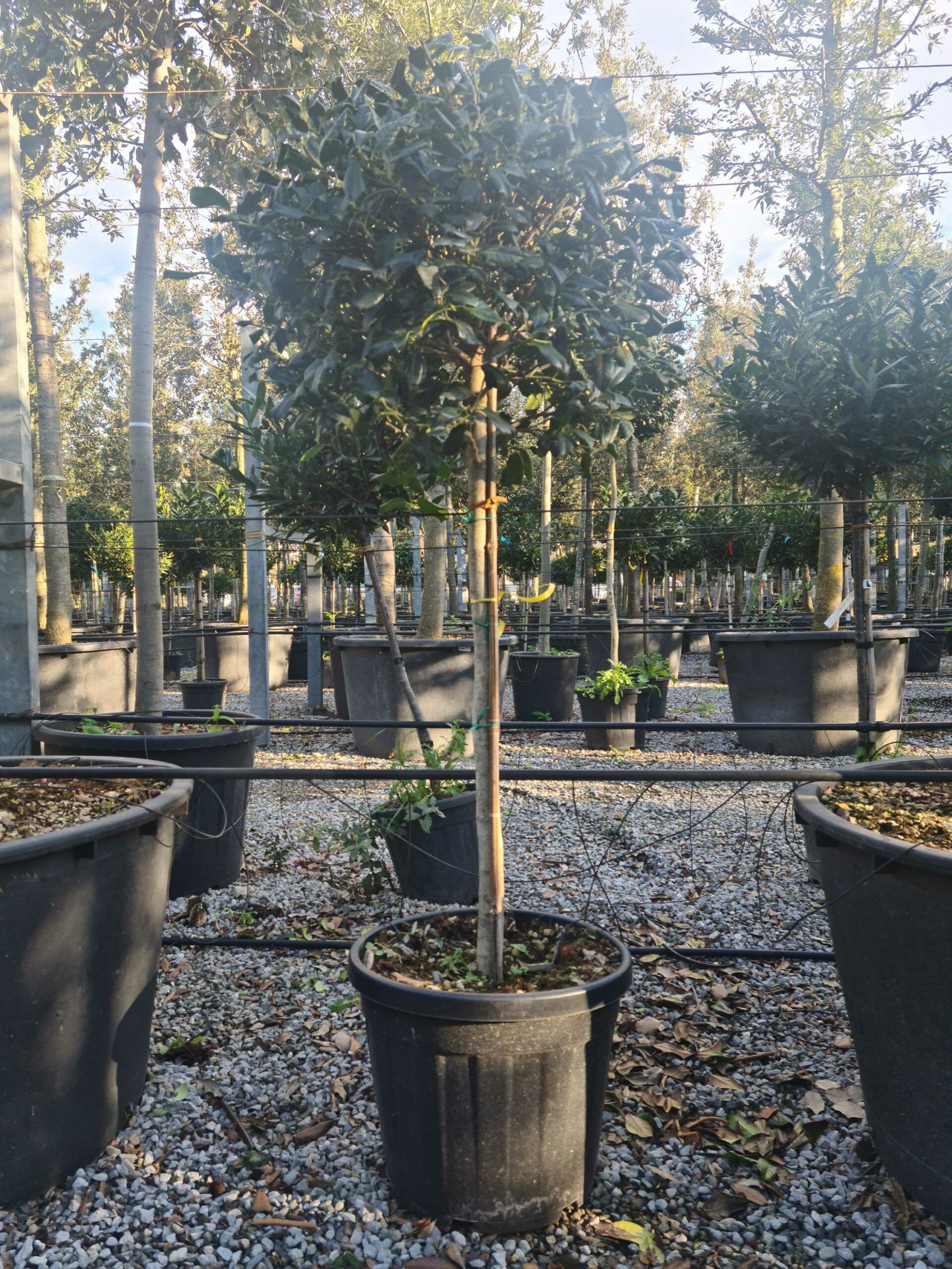 1639403351 scaled a36a322a