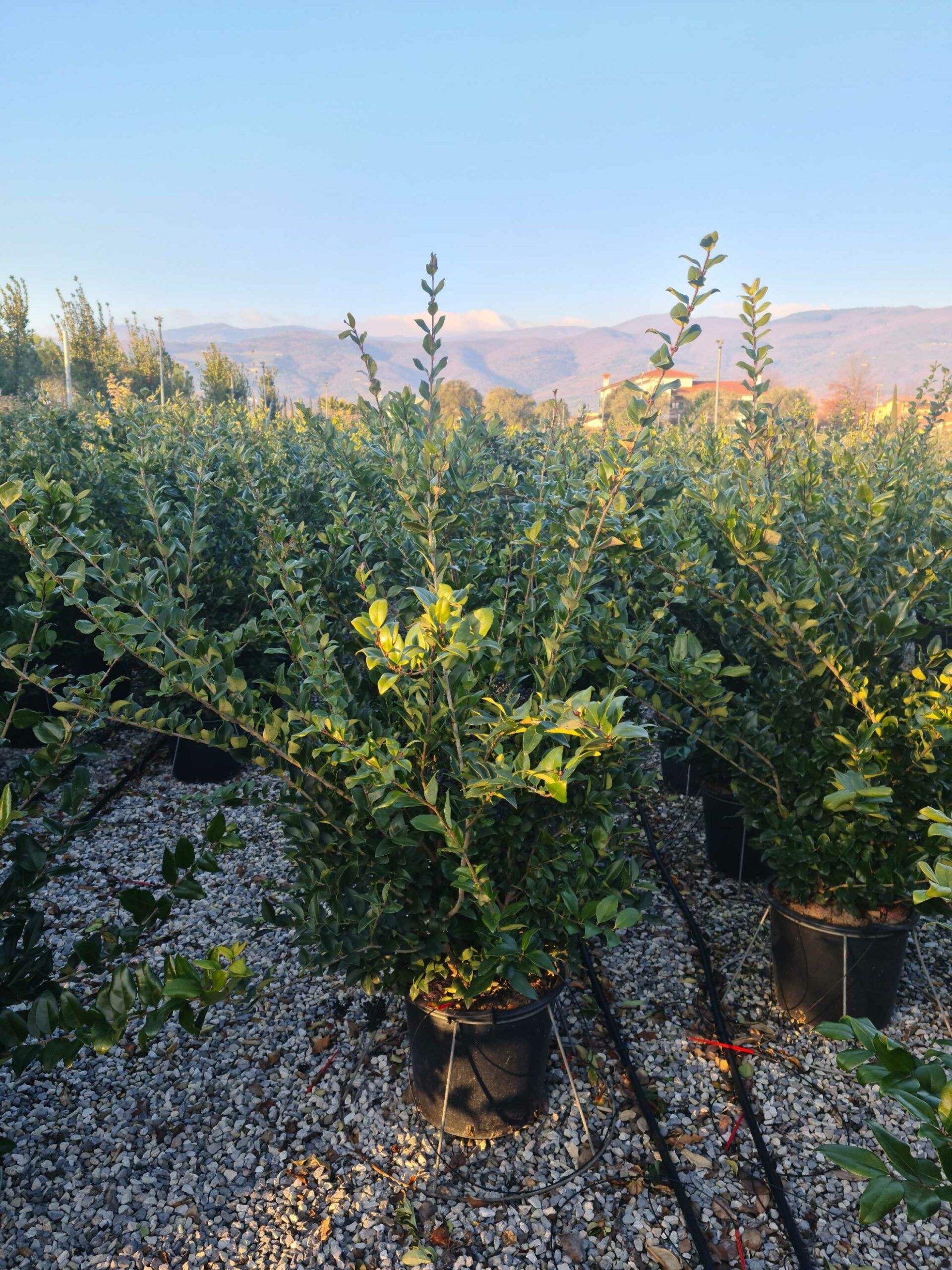 1642778224 scaled a3027a93