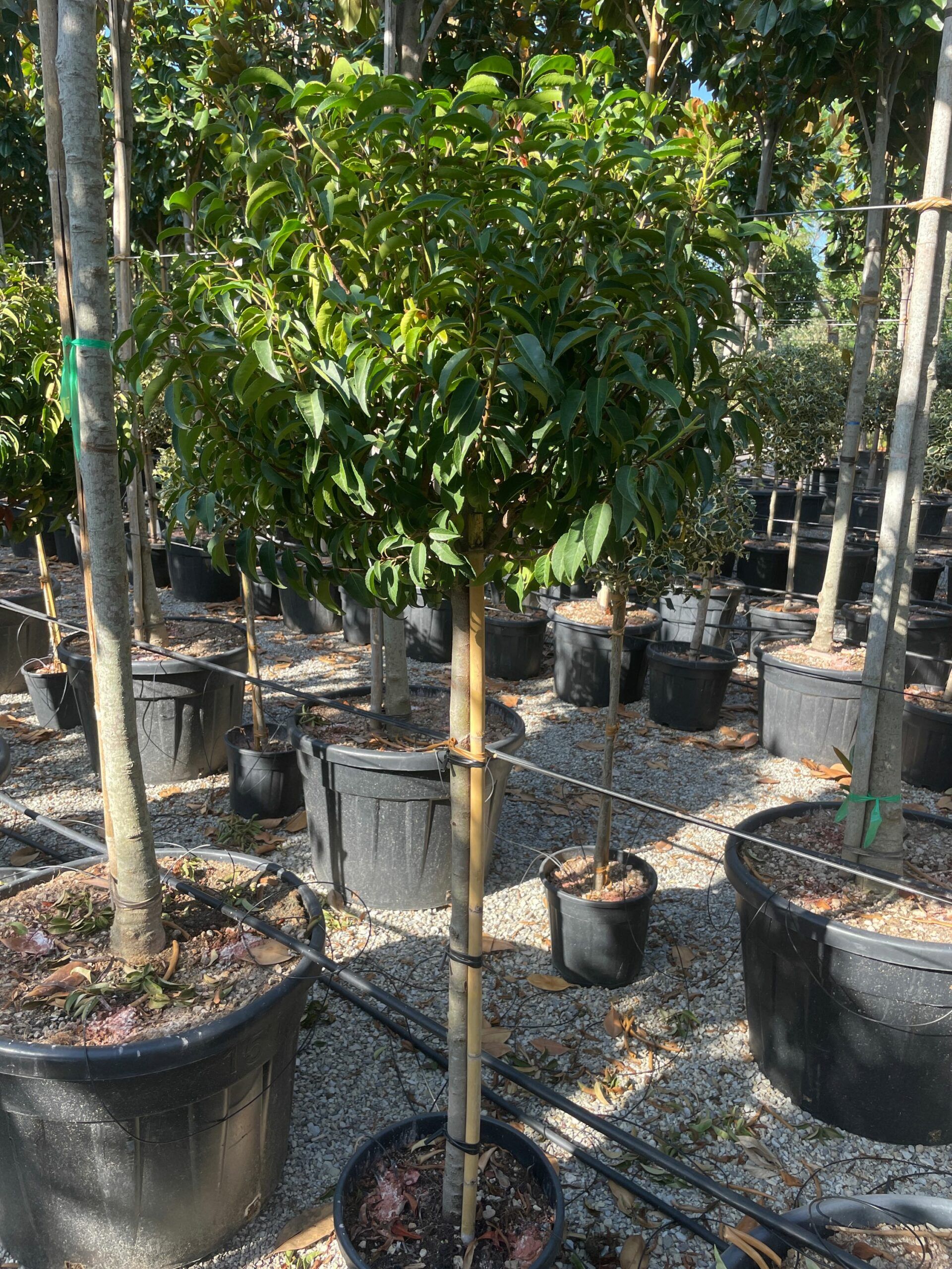 1692862175 scaled a3ce3890