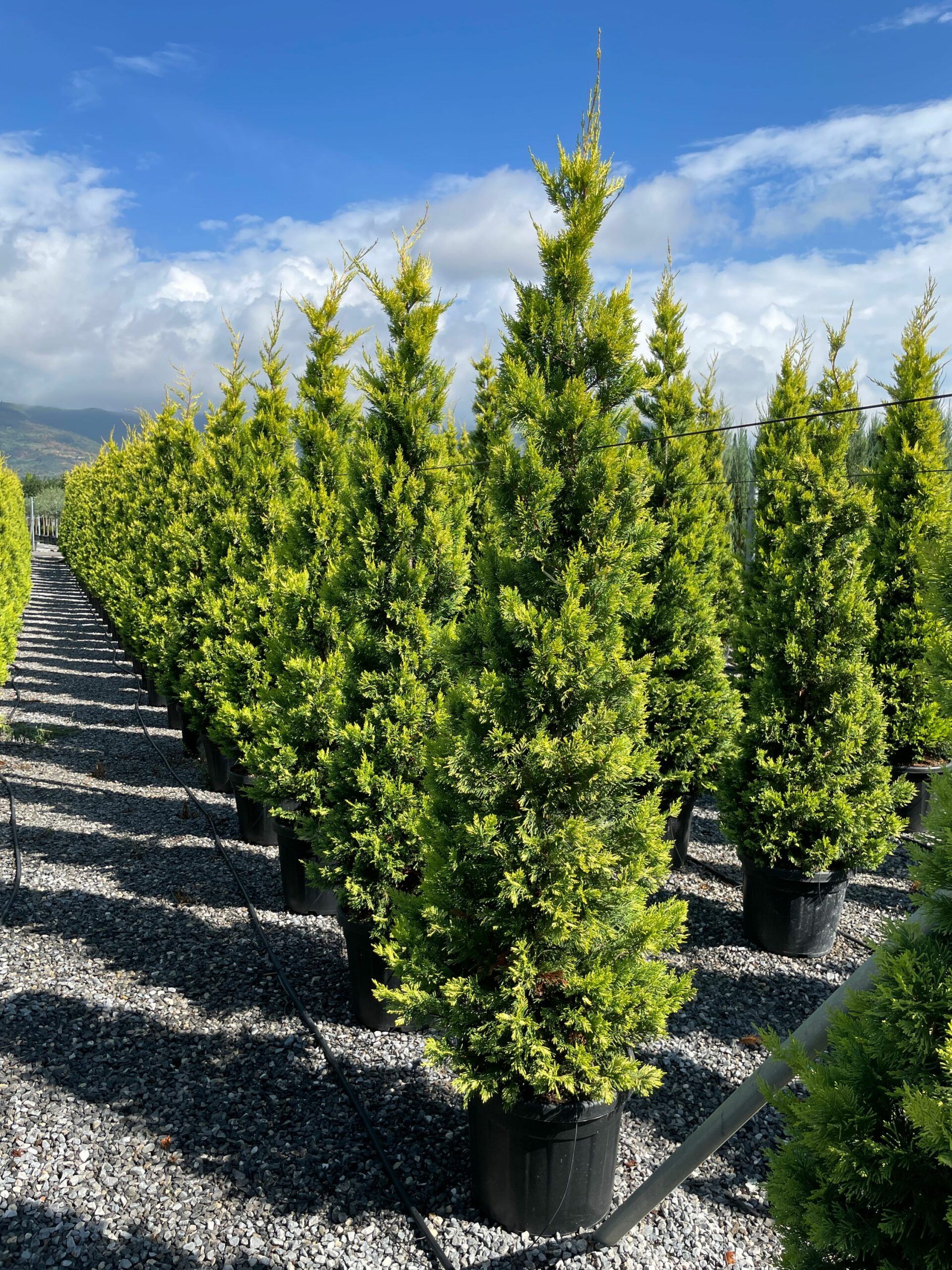 1631957933 scaled a4741f4c