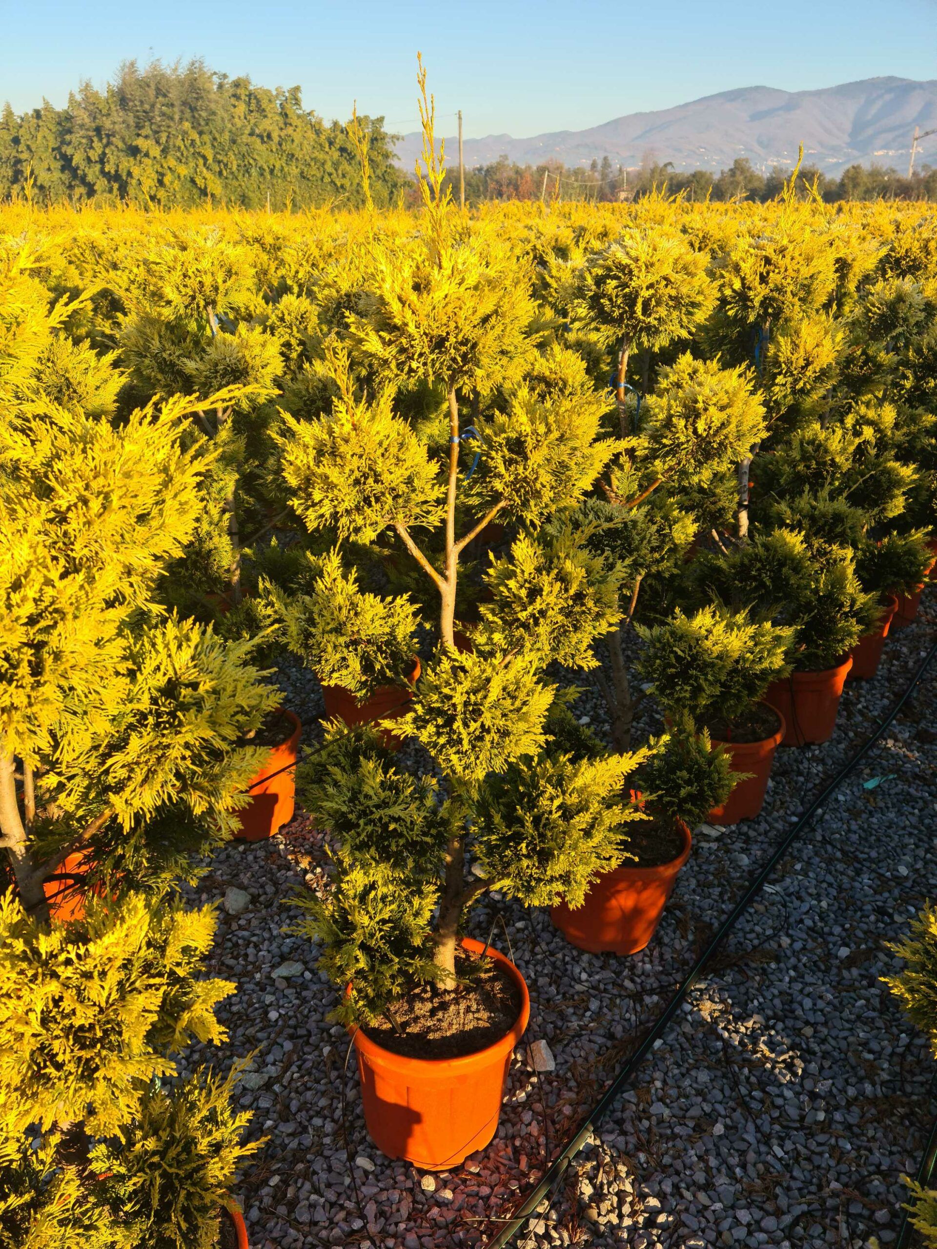 1639813674 scaled a4b3eaa3