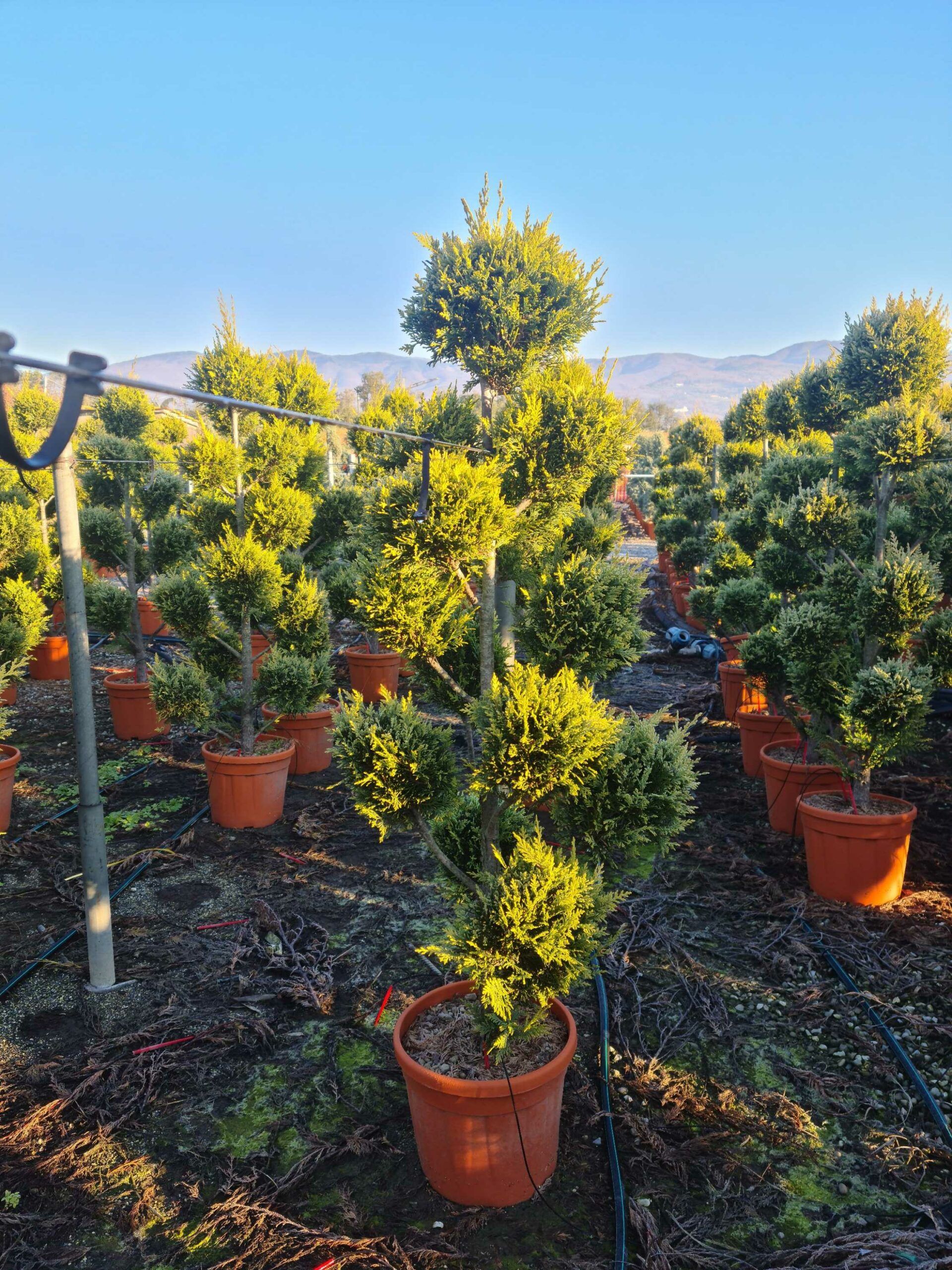 1639814830 1 scaled a40c16cd