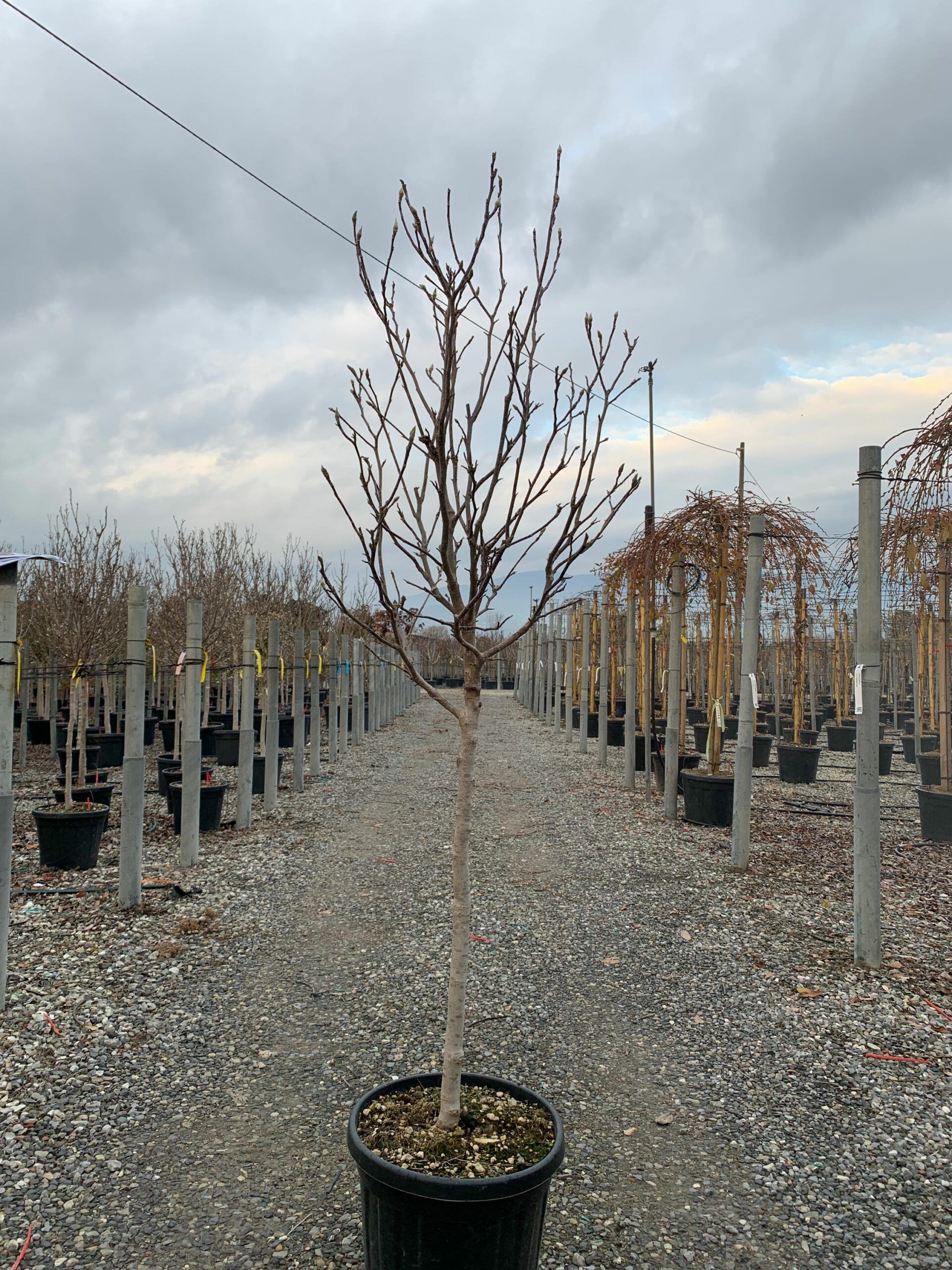 1640097874 scaled a41f74df