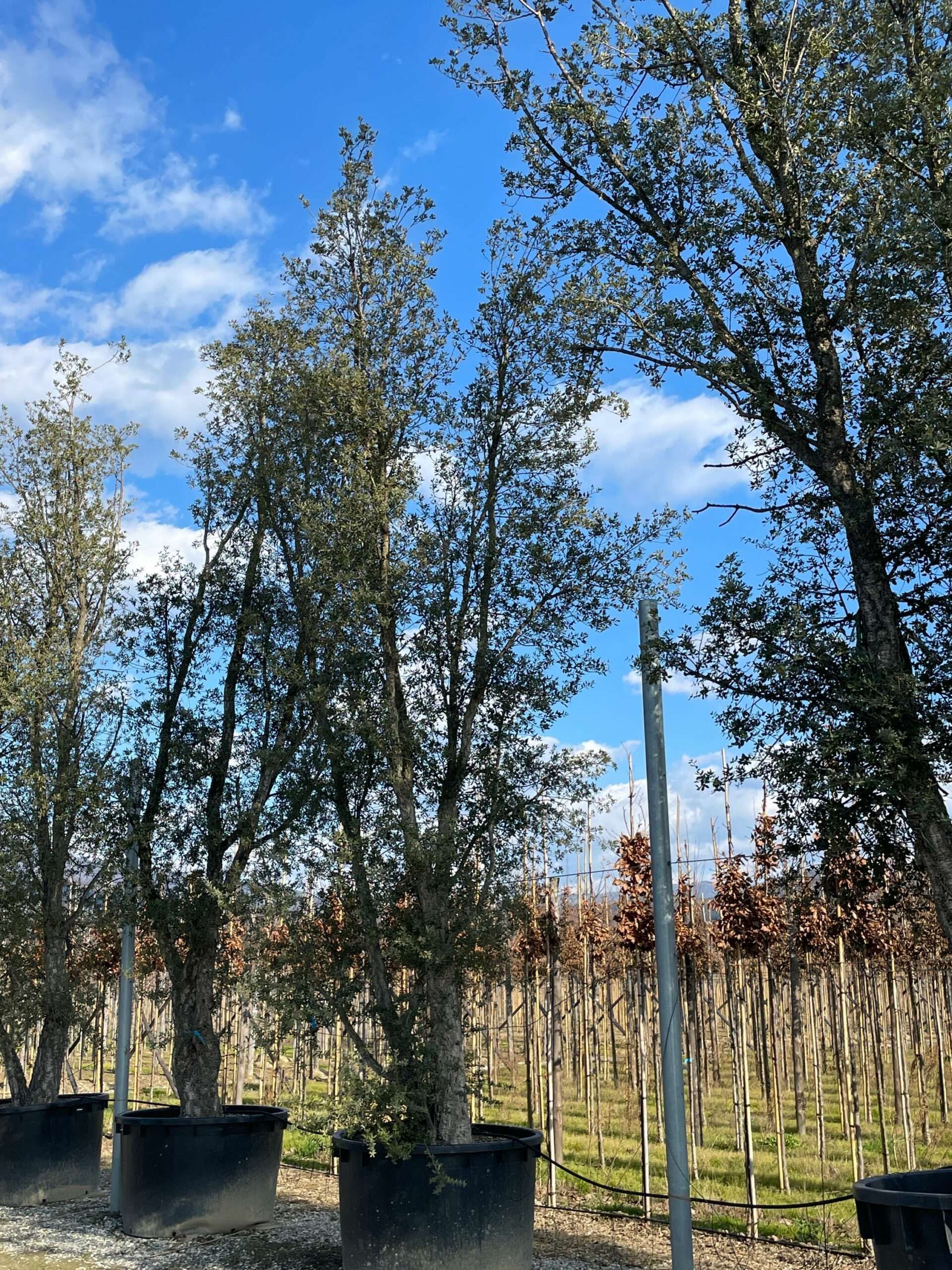 1644240144 scaled a49dedce