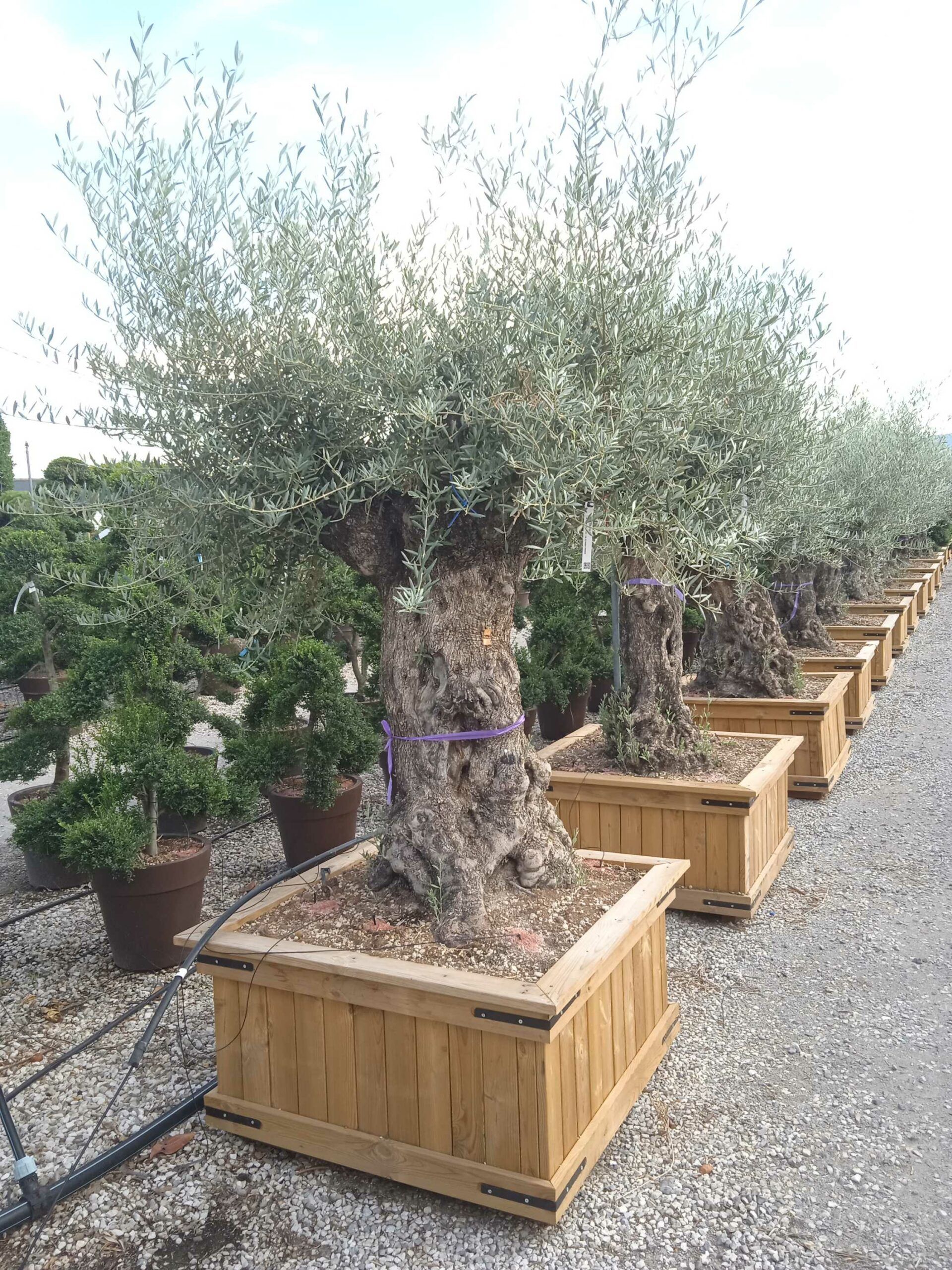 1661782623 scaled a4e6dc70