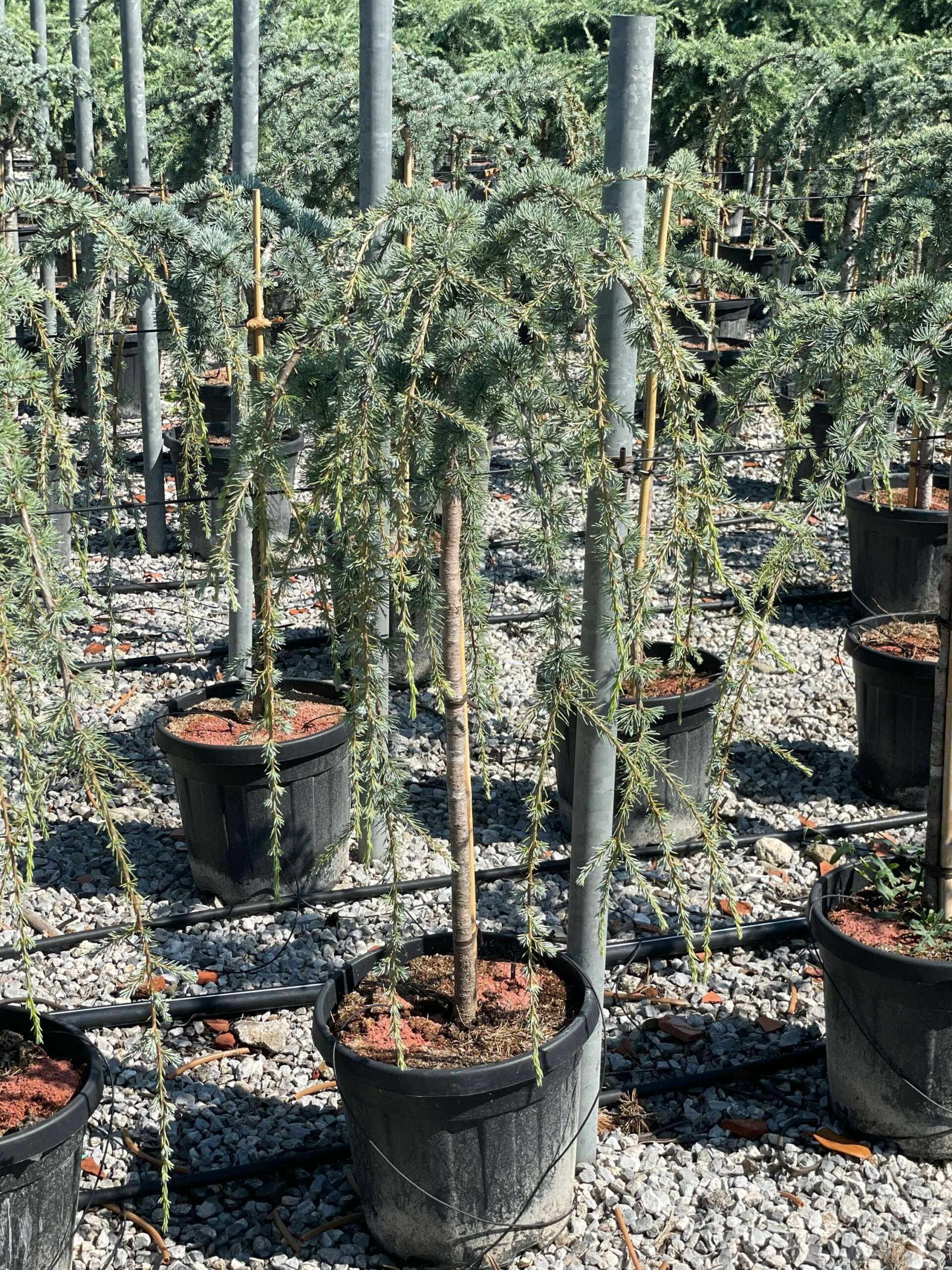 1662110392 1 scaled a466c368