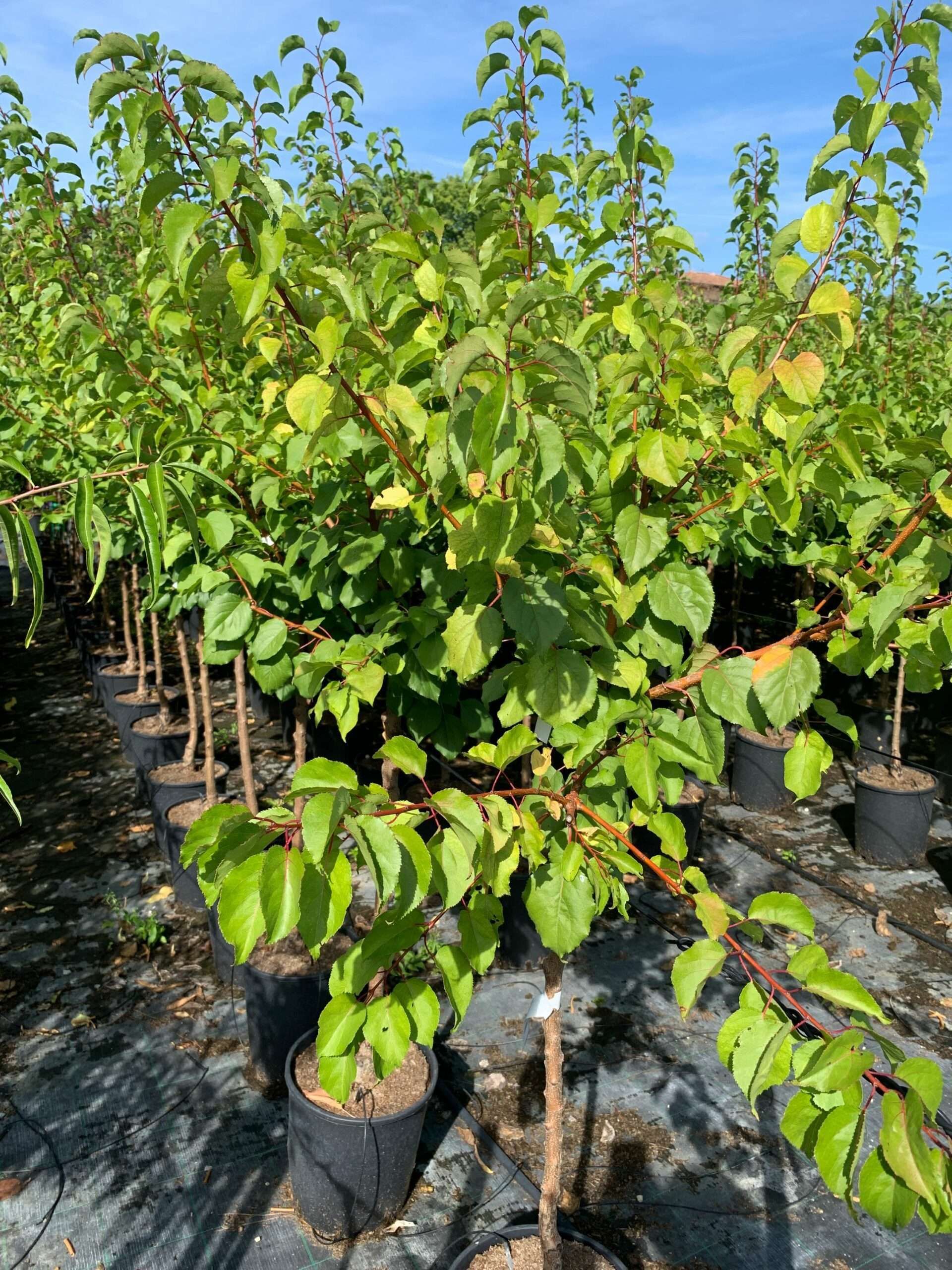 1662366927 scaled a47a14e2