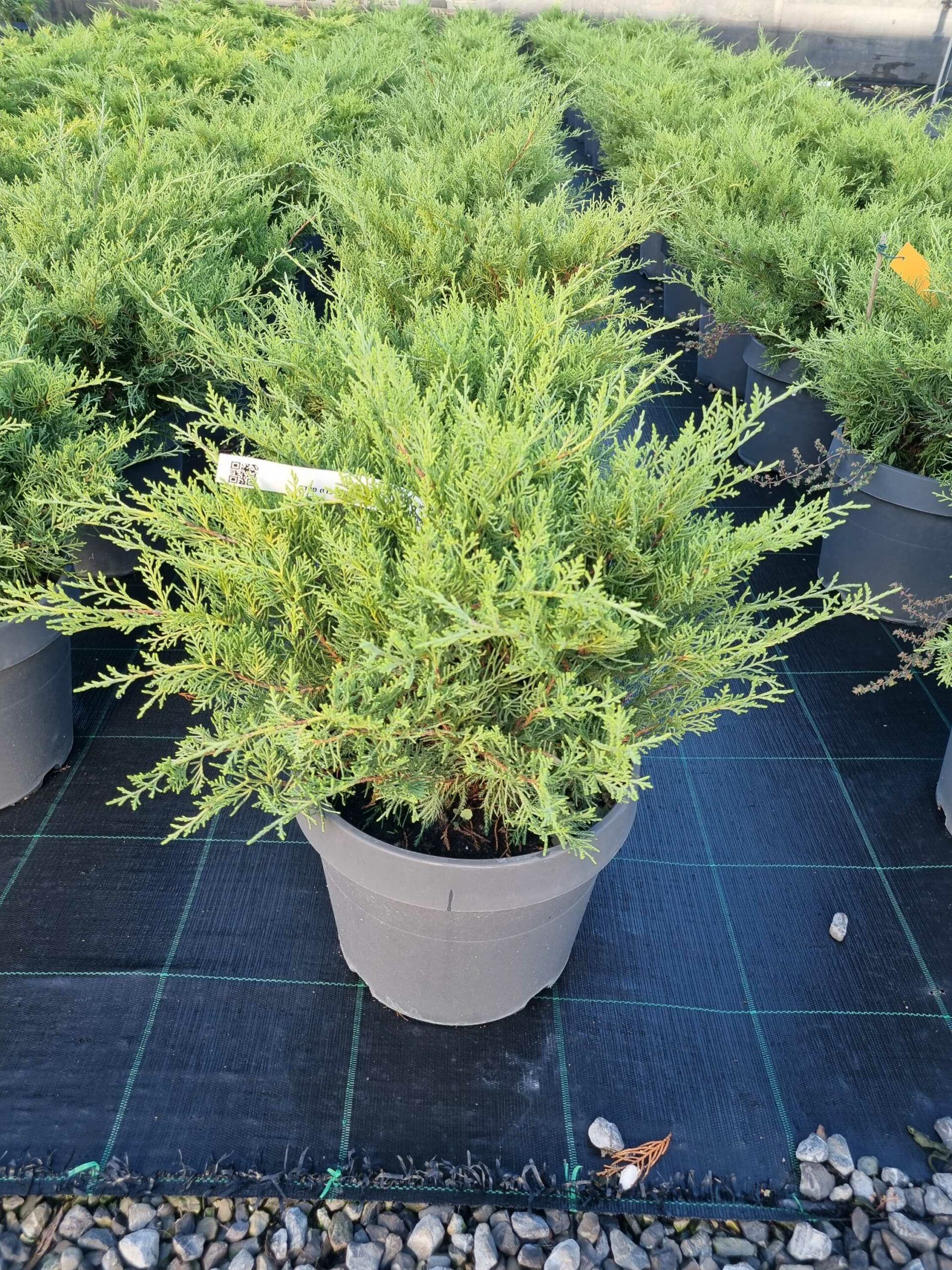 1663569823 scaled a4ec0e91