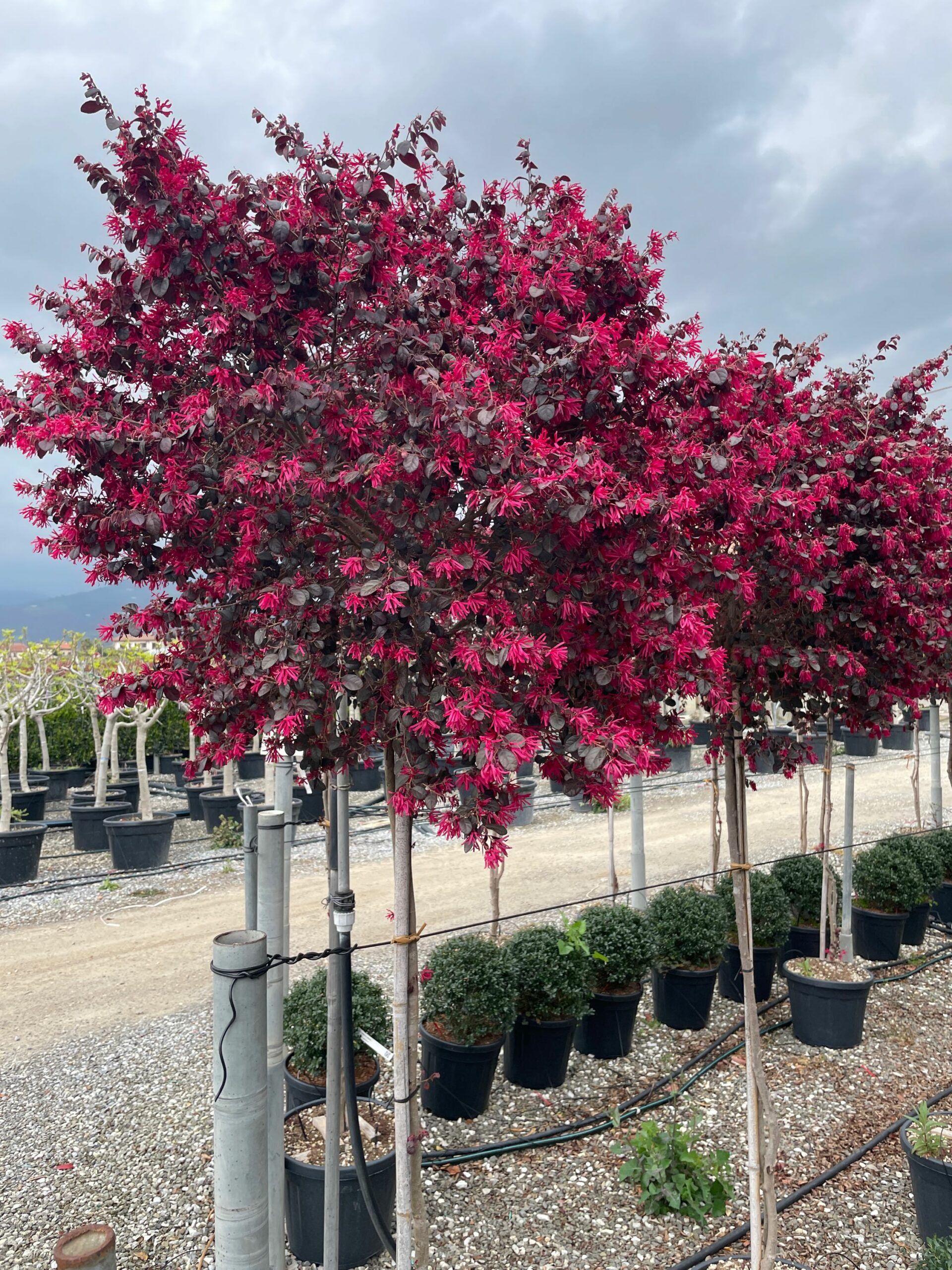 1680279882 scaled a4feac19