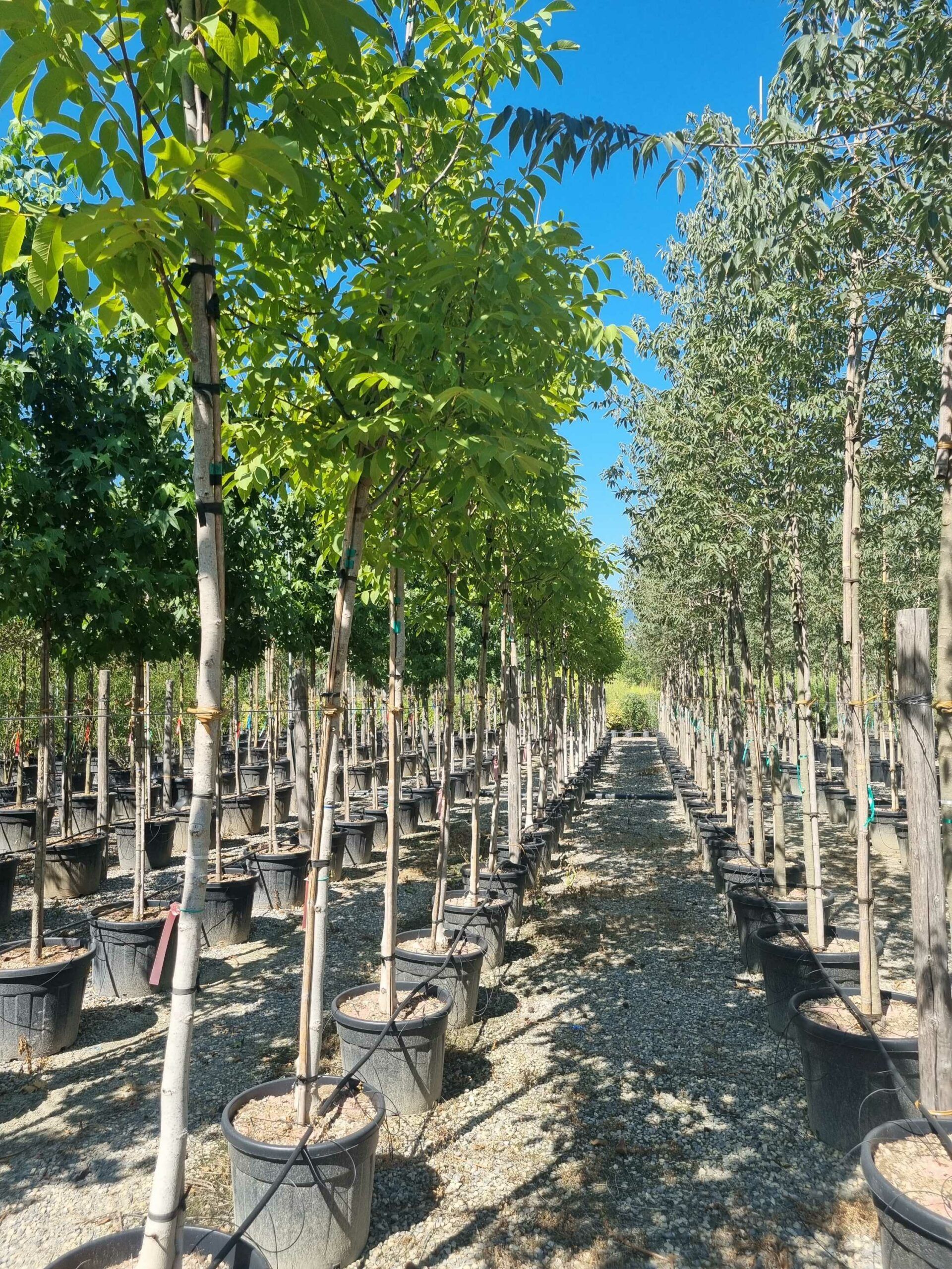 1692796828 scaled a48e817a