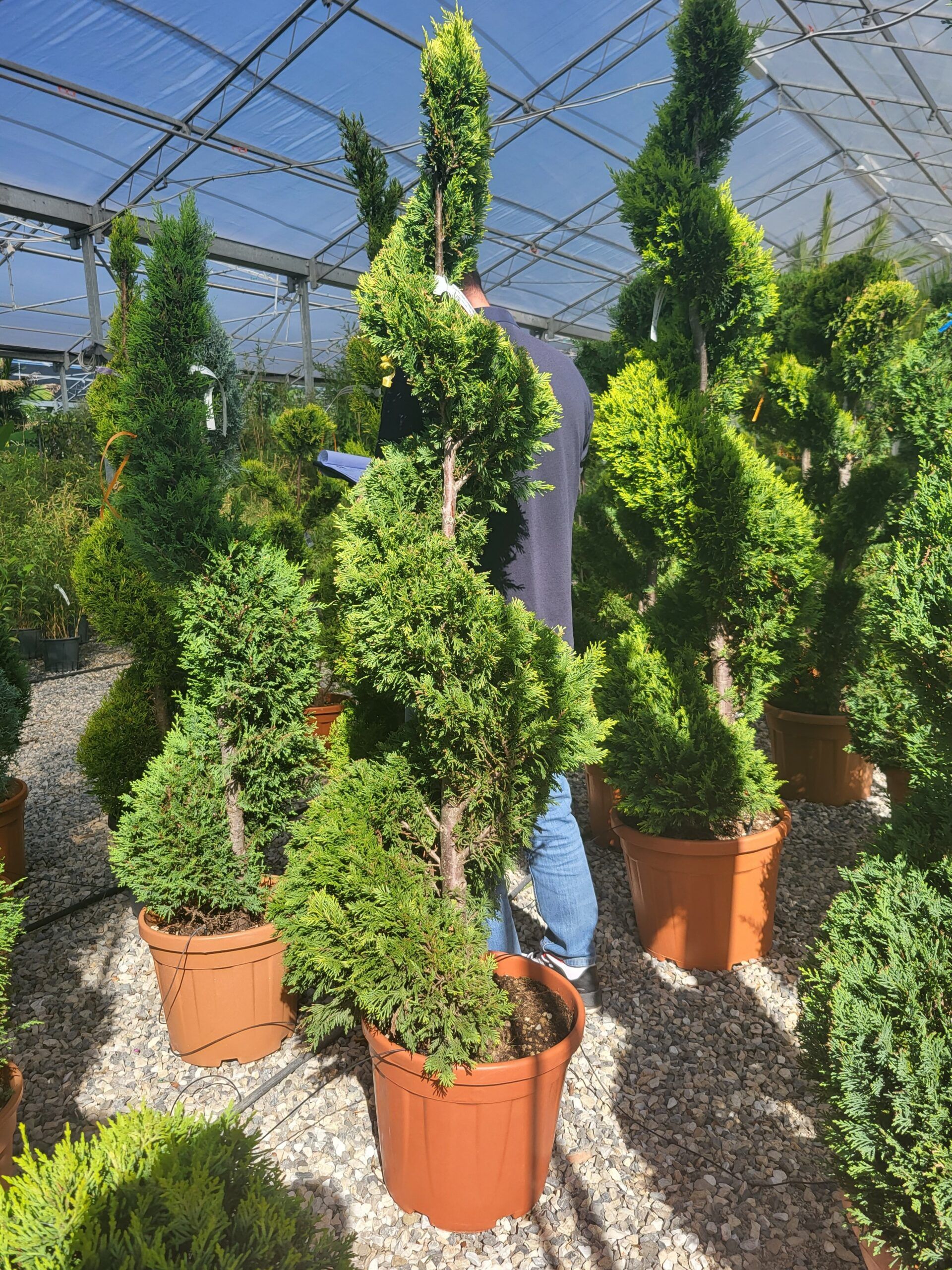 1696327084 scaled a4db096e