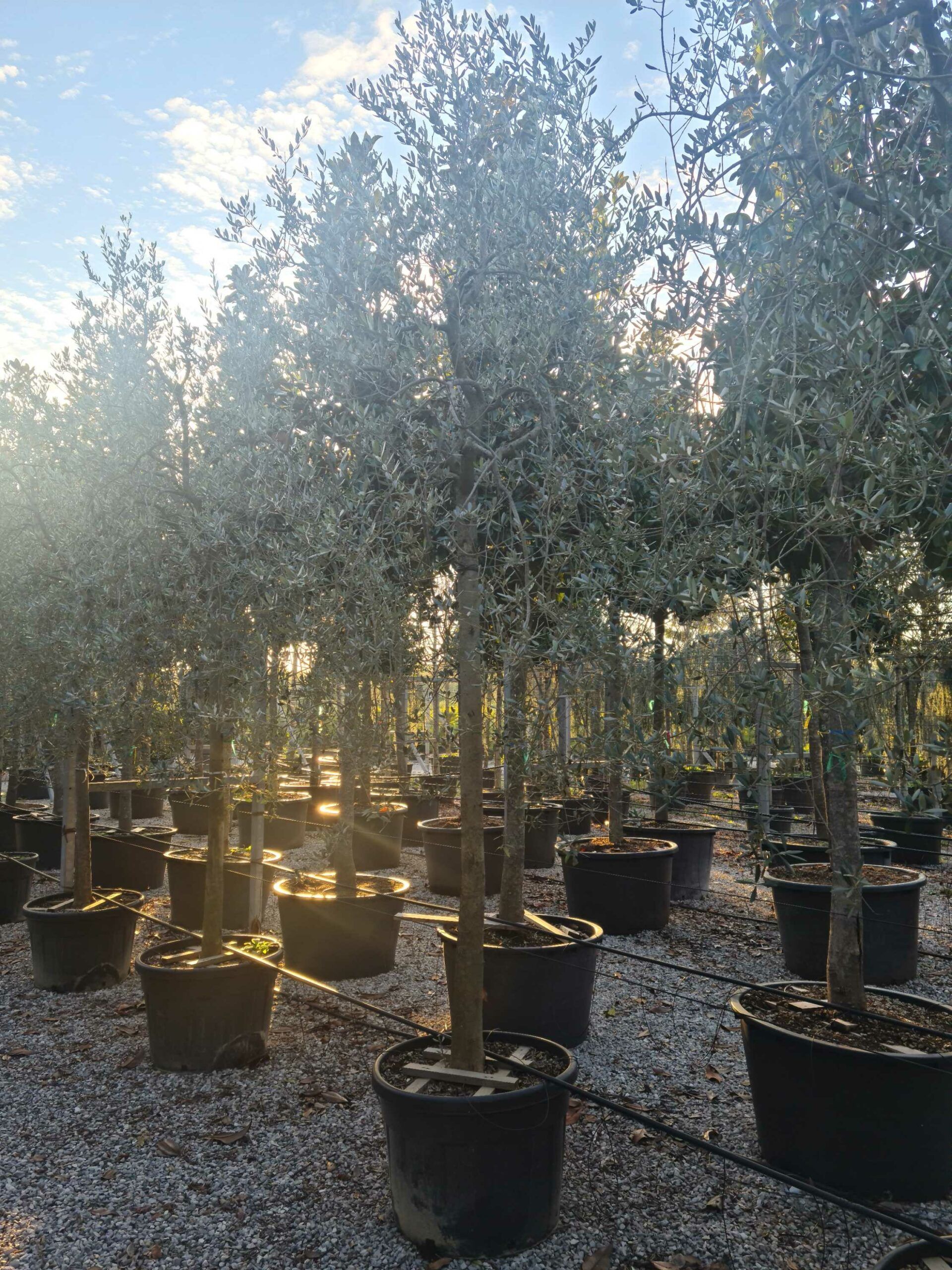 1639406722 scaled a5f05997