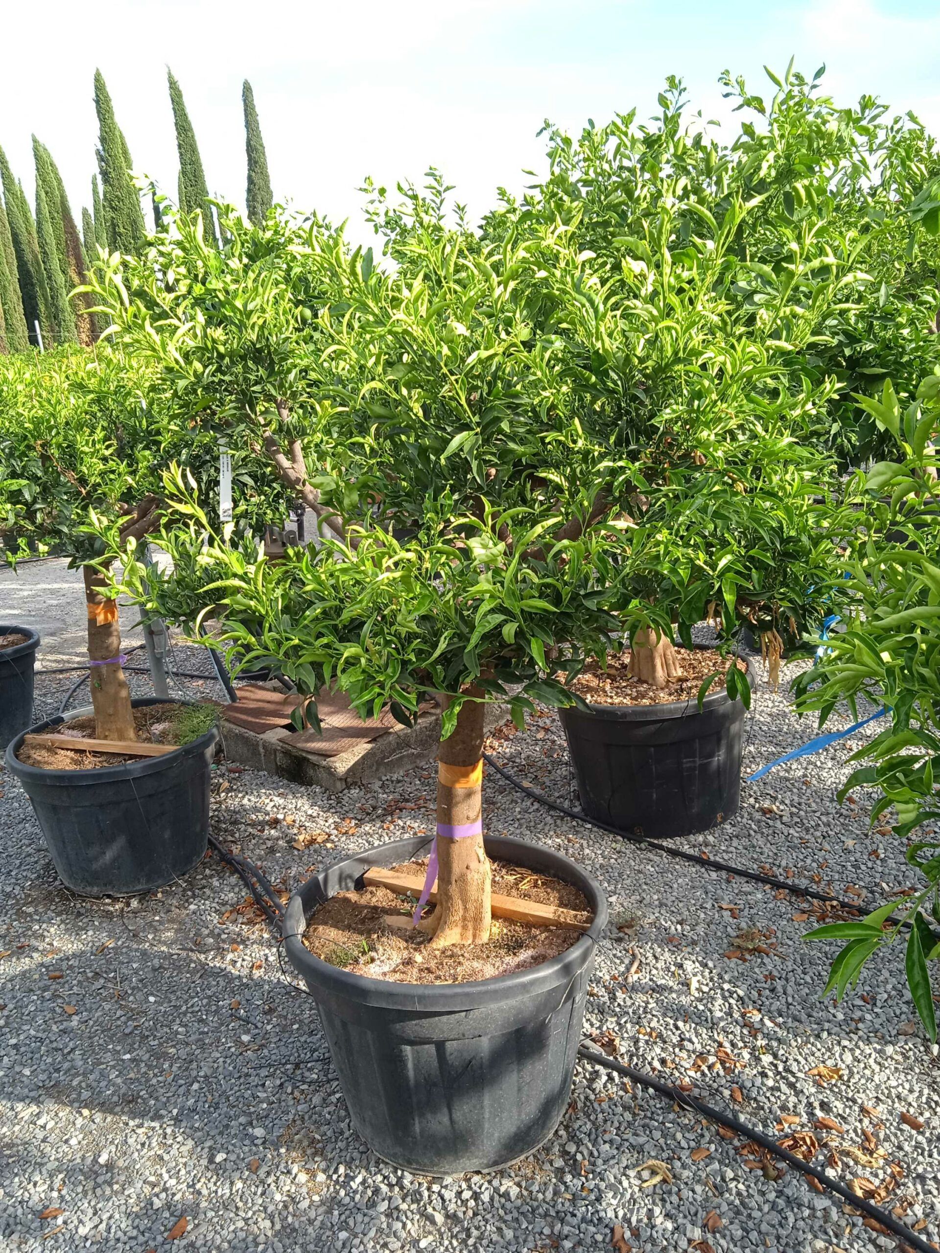 1661960292 scaled a5a67ab5