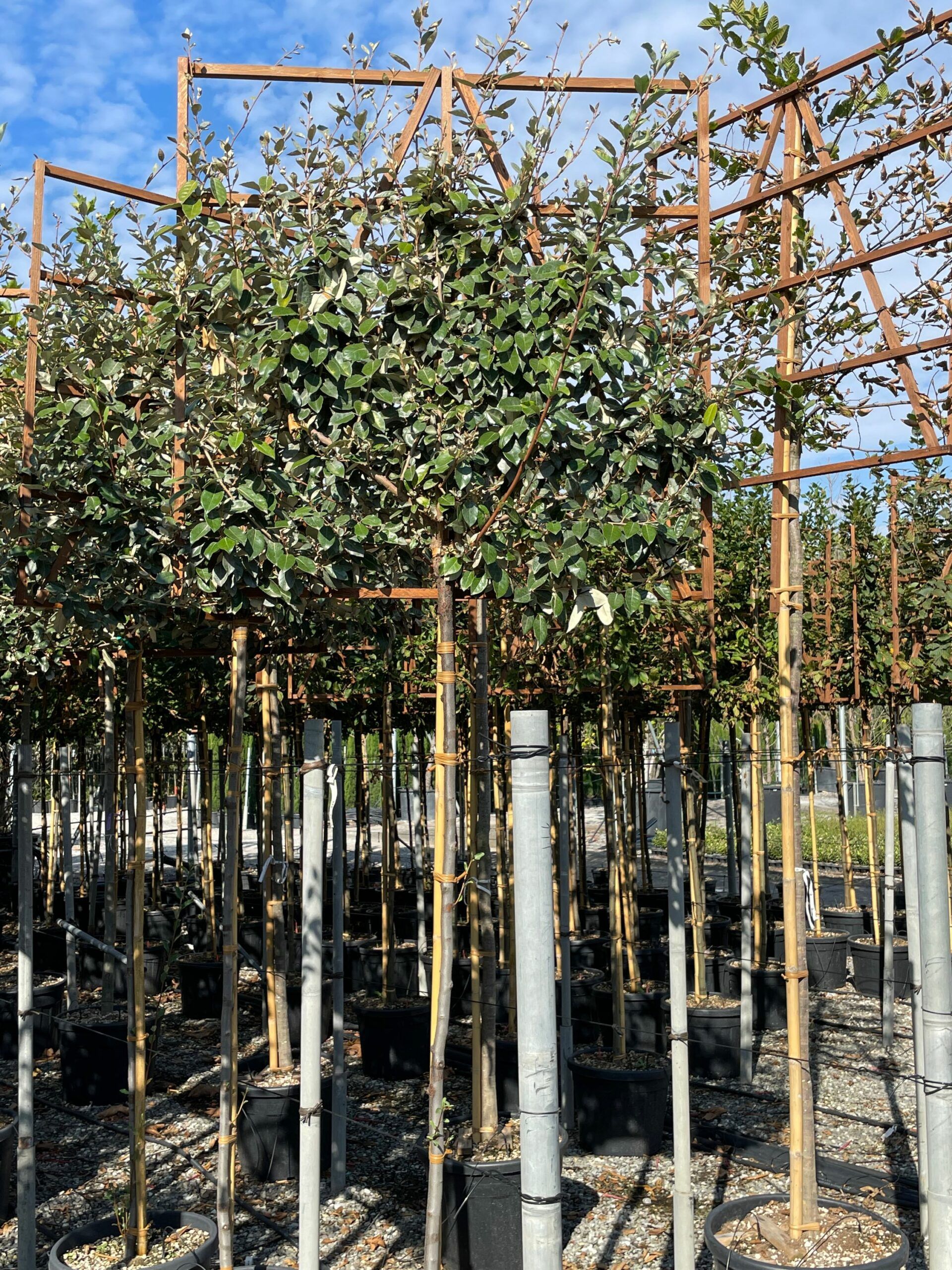 1665306104 scaled a5a7065b