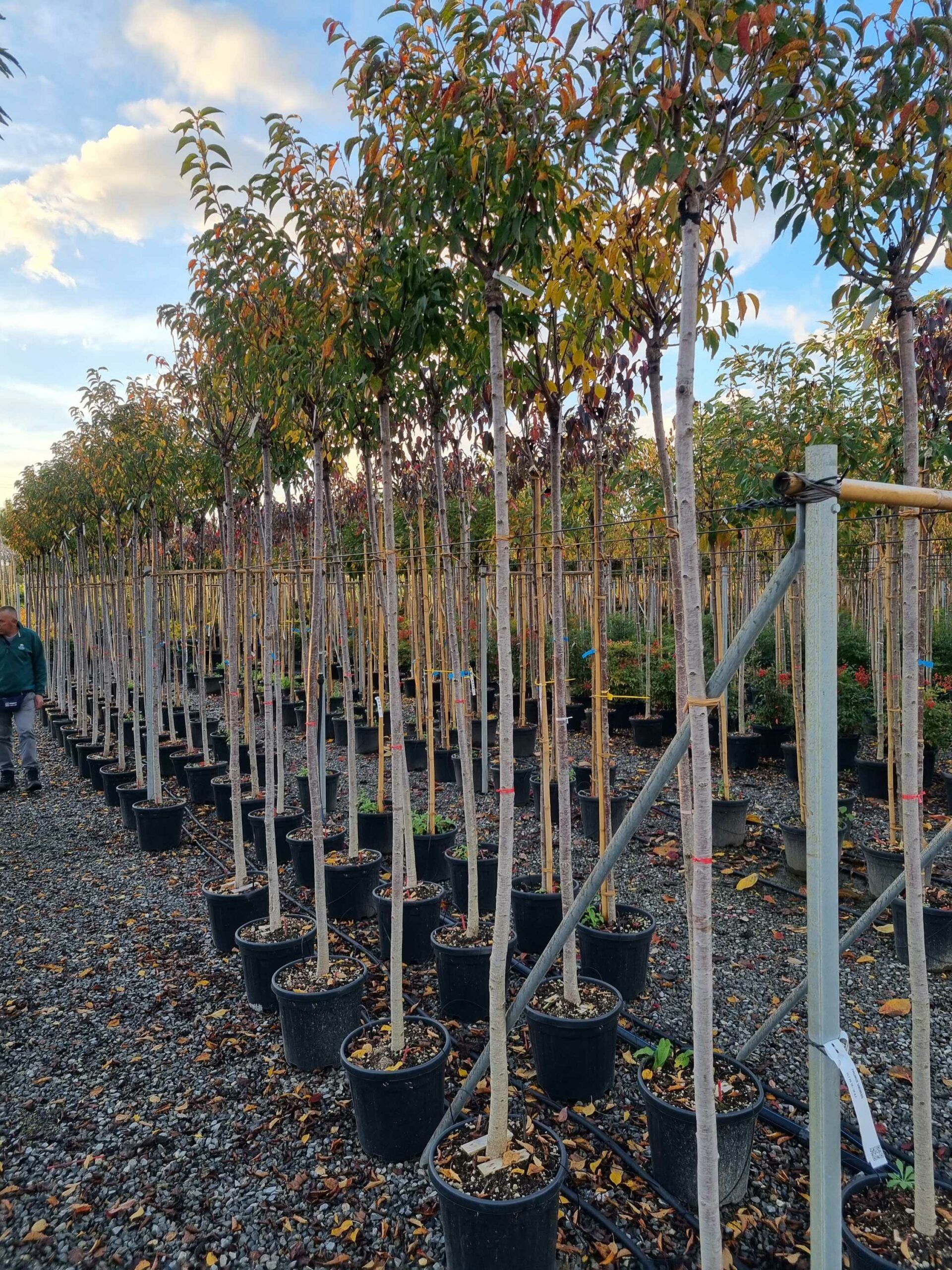 1668784621 scaled a50e113e