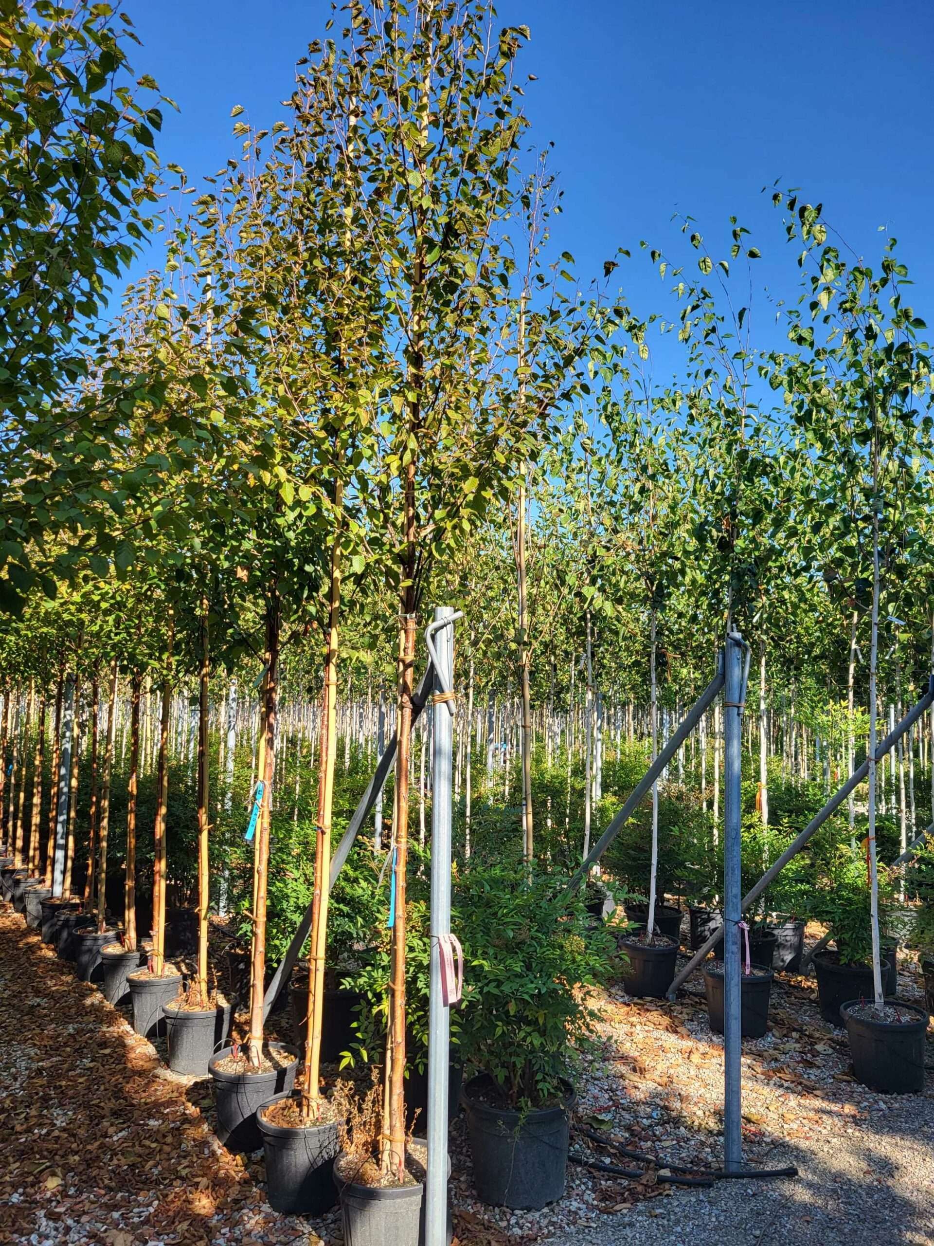 1692689113 scaled a530ff5e